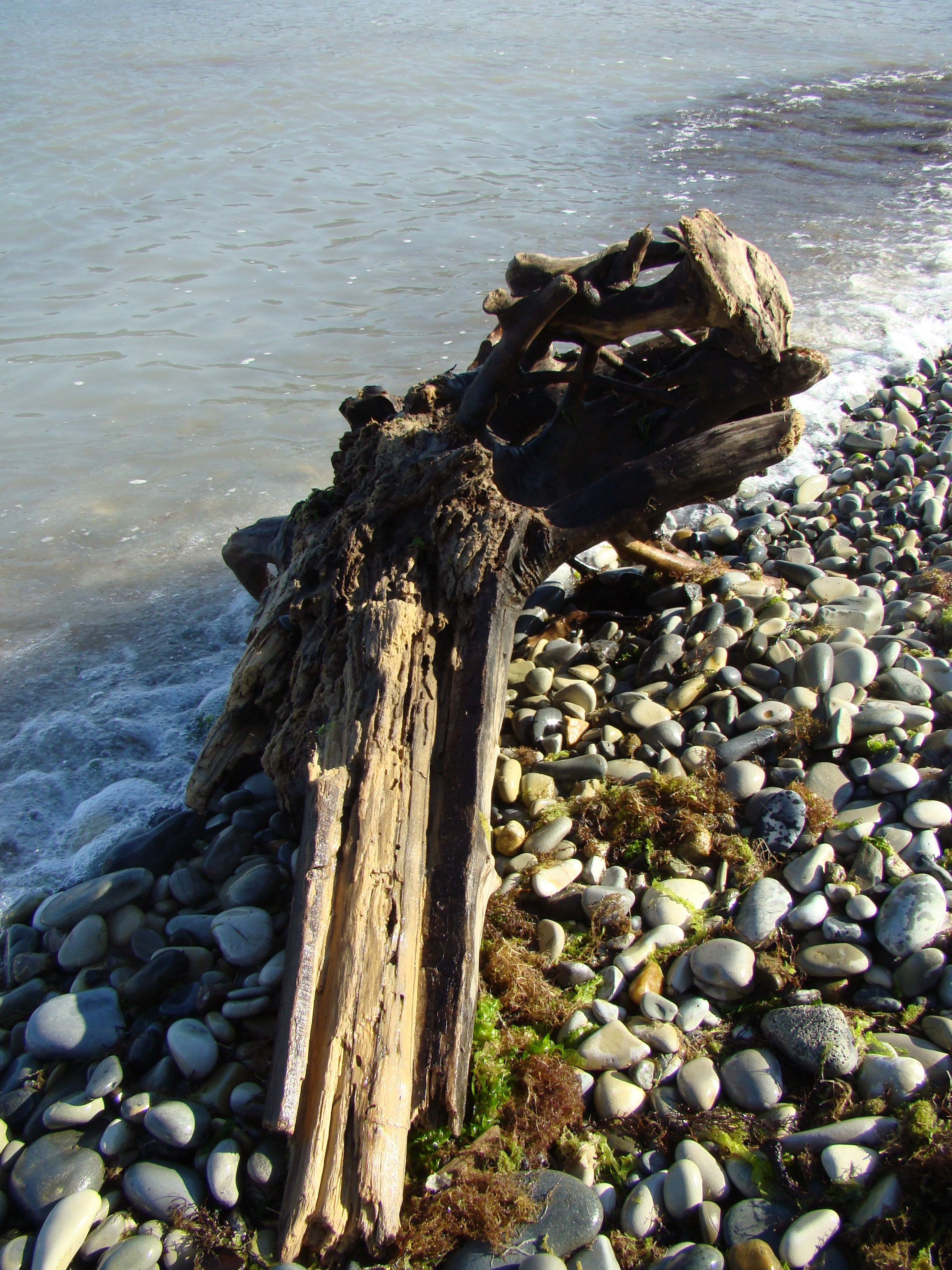 Кабардинка (фото Зевиных) 25.06-24.07.2008. Семейный, Свадебный фотограф СПБ Питер— Романова Екатерина