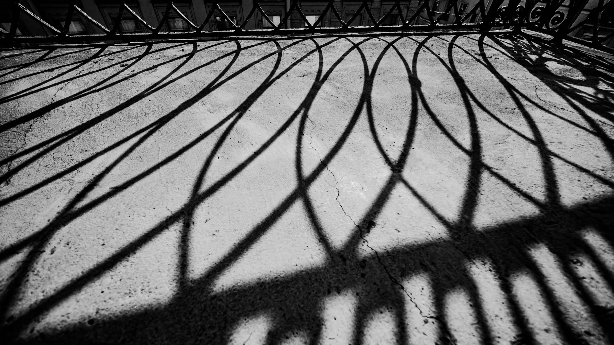 Saint Petersburg. The Andris