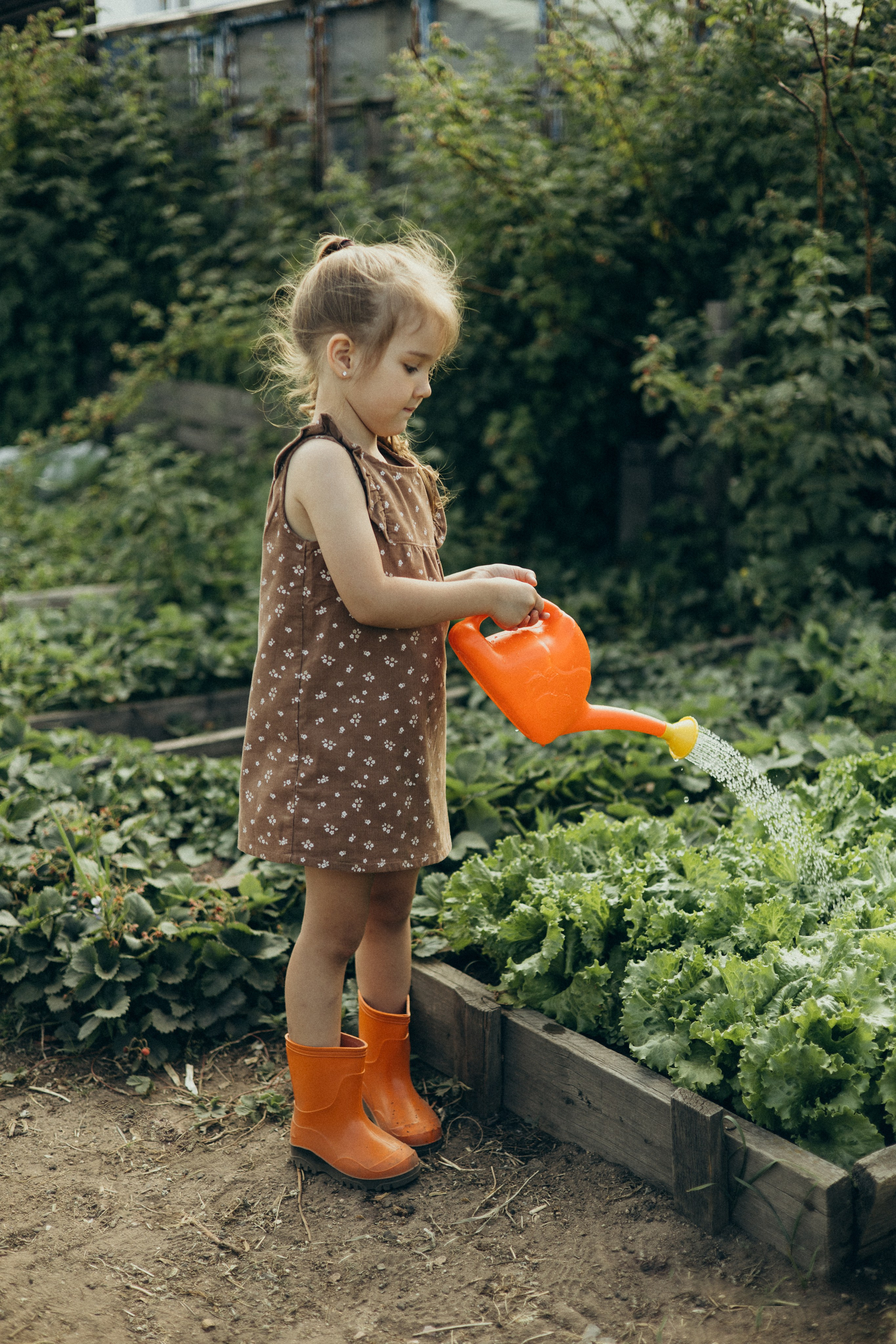 Хорошо в деревне летом…♡. Фотограф в г. Чита