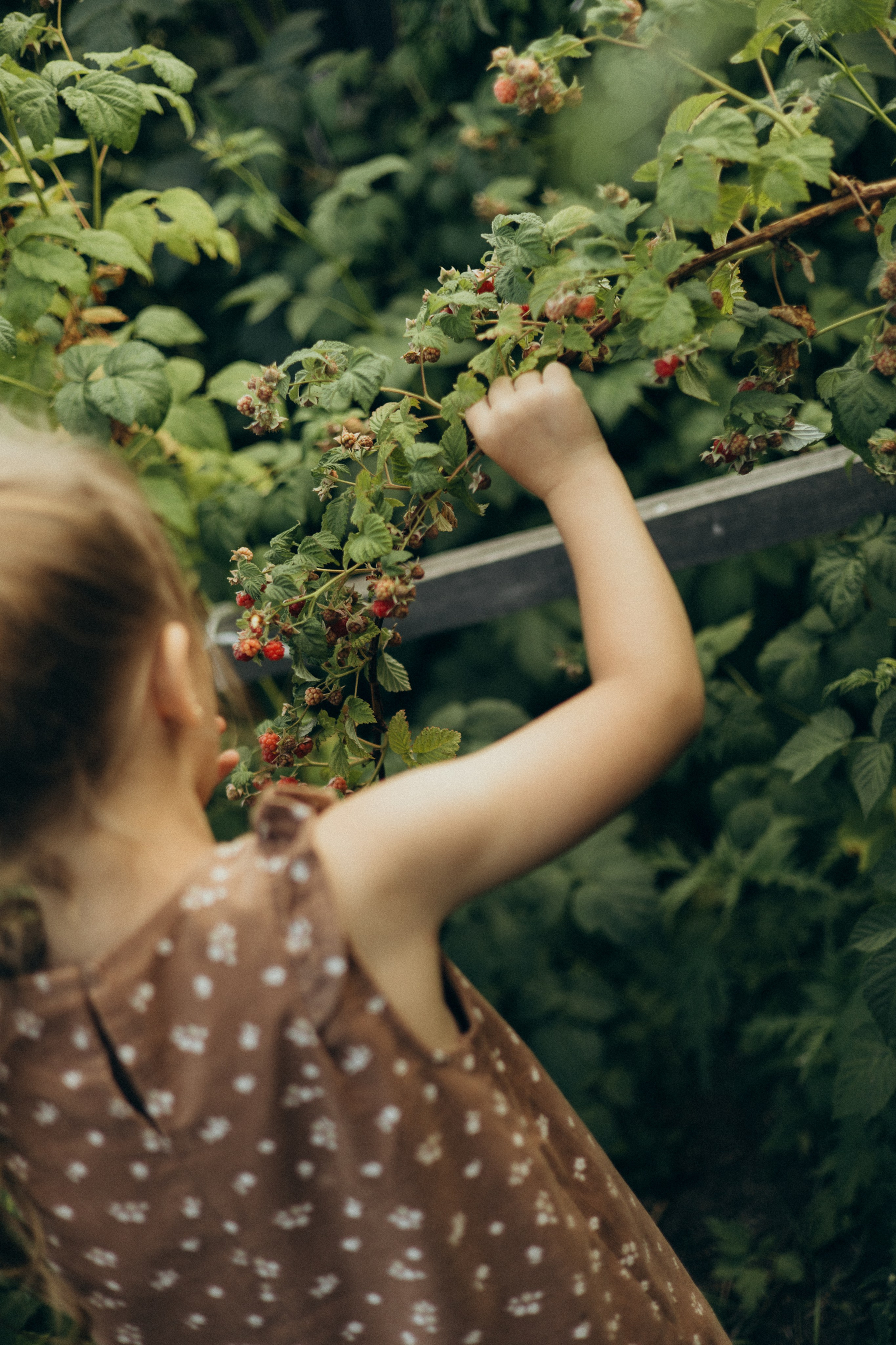 Хорошо в деревне летом…♡. Фотограф в г. Чита