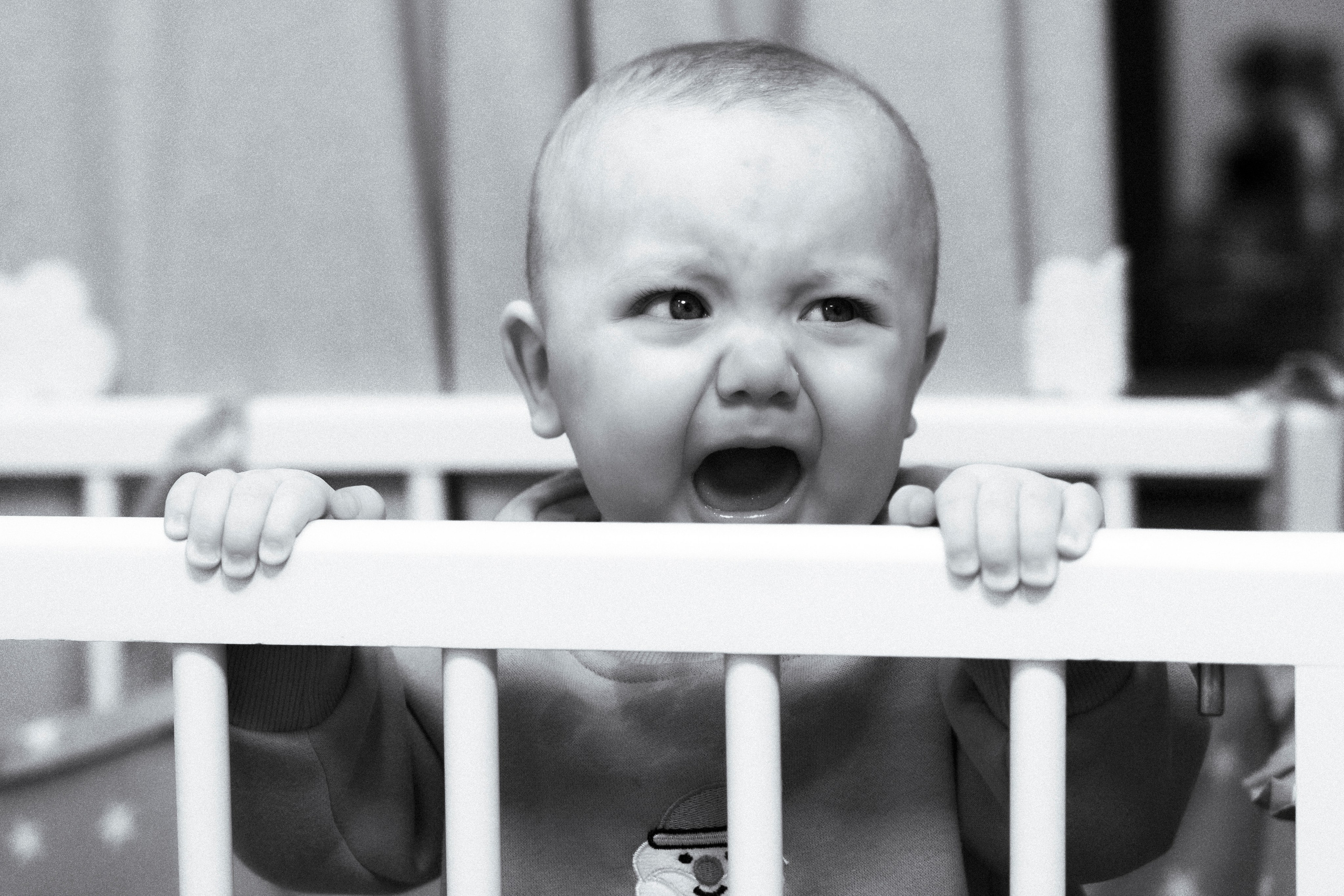 Новогодние тройняшки. Главная