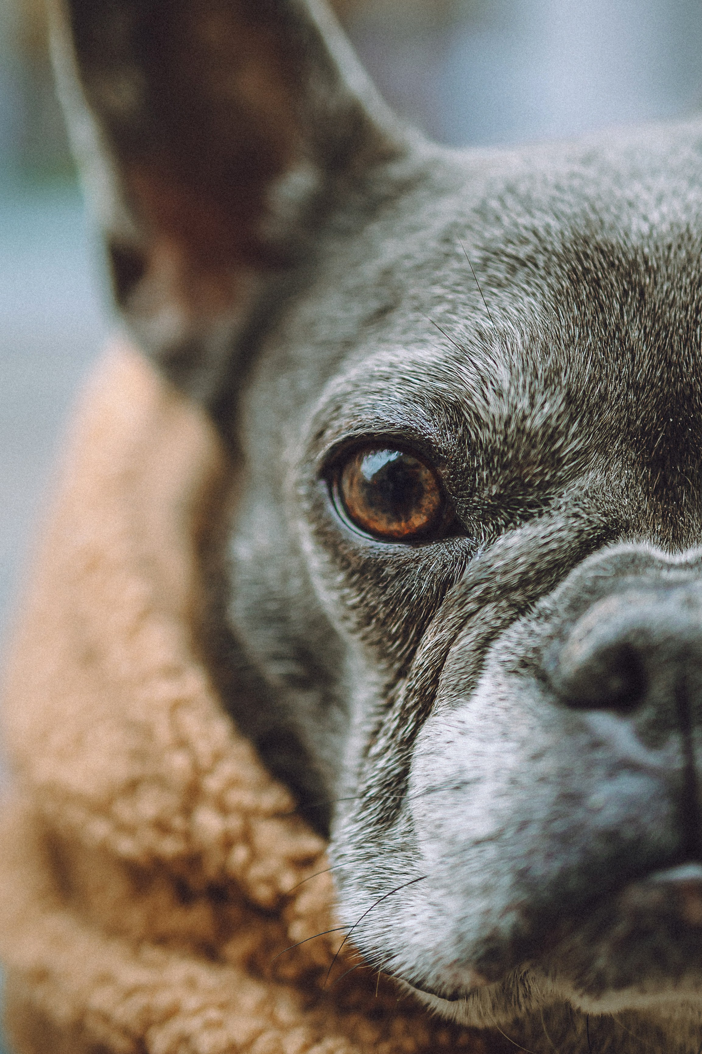 Юля, Вова и Моня