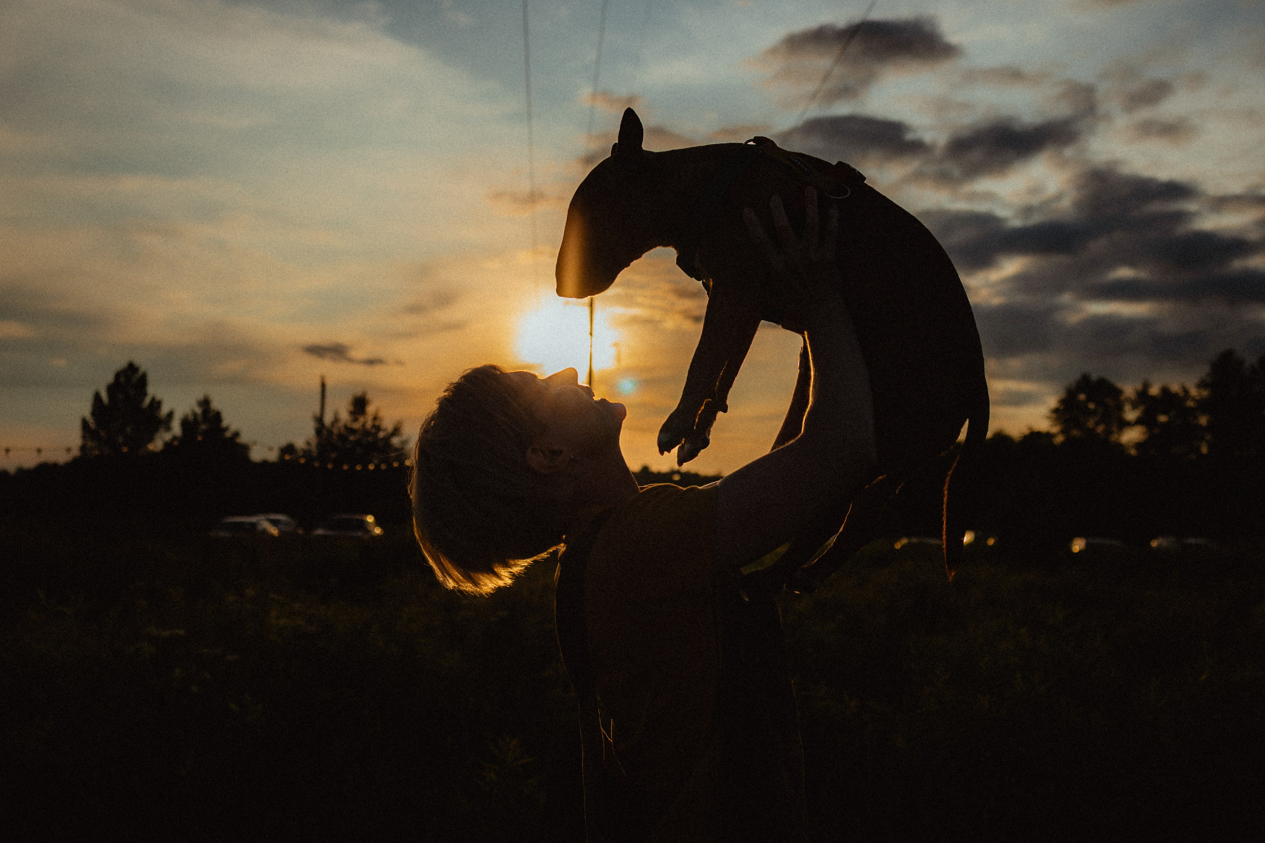 Выездной дог-тренинг от школы «Шерсть имею»