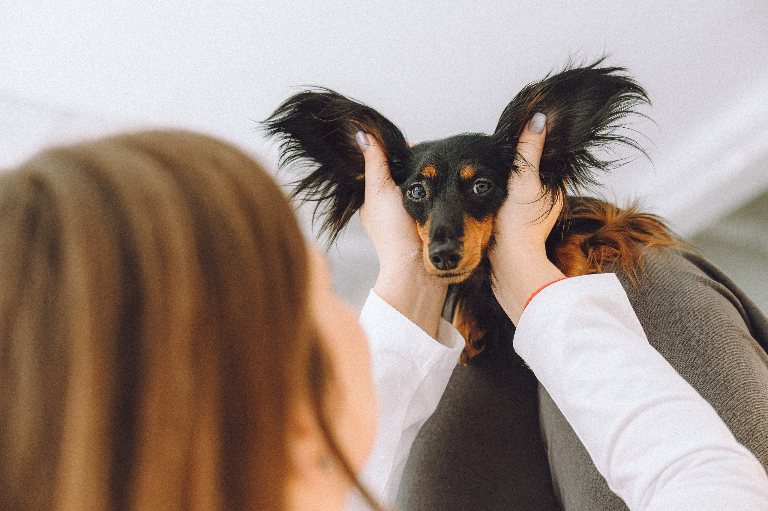 Натали, Свят и Эни