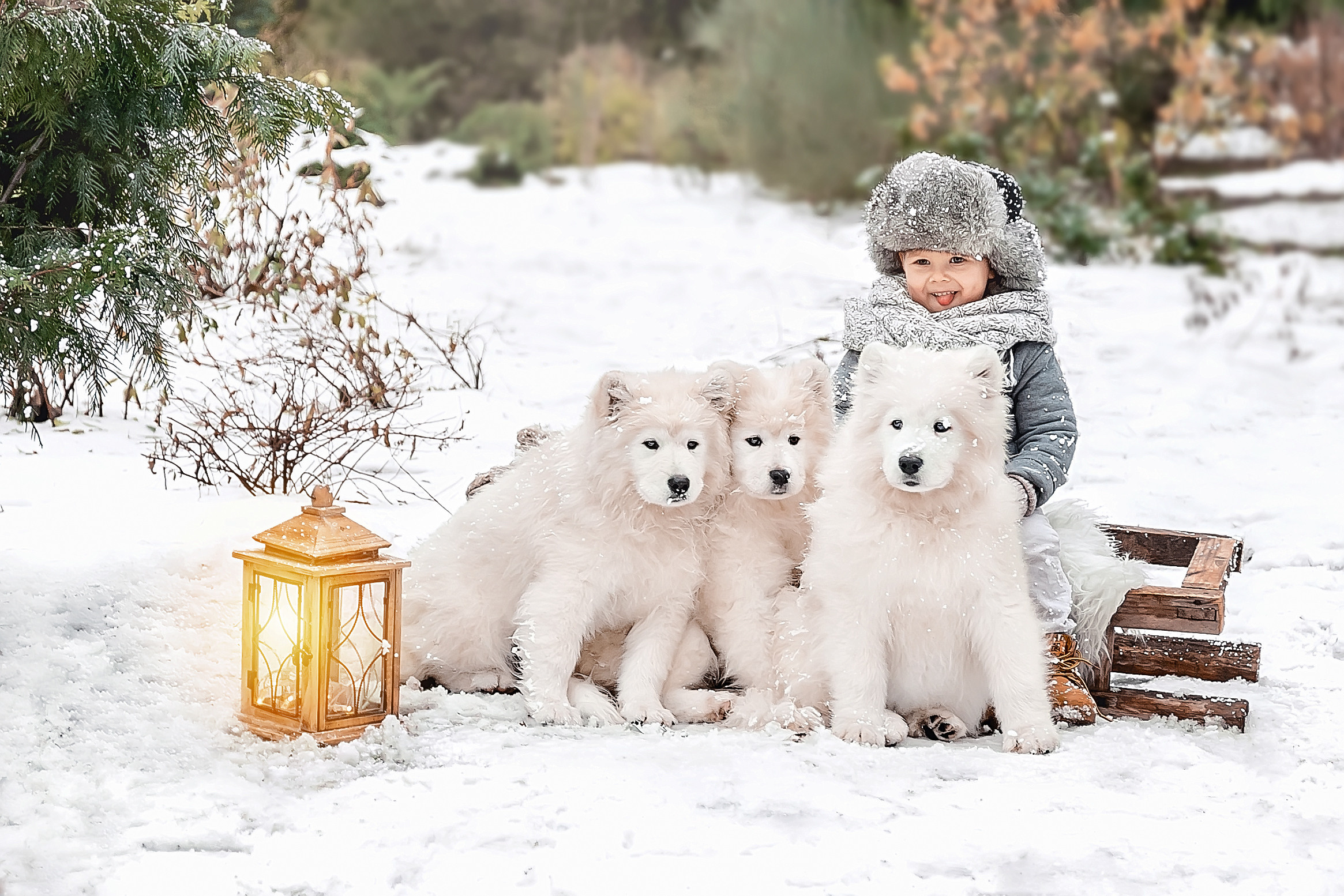 Новогодние и зимние фотосессии. Свадебный и семейный фотограф в Туле и Москве Полукарова Юлия