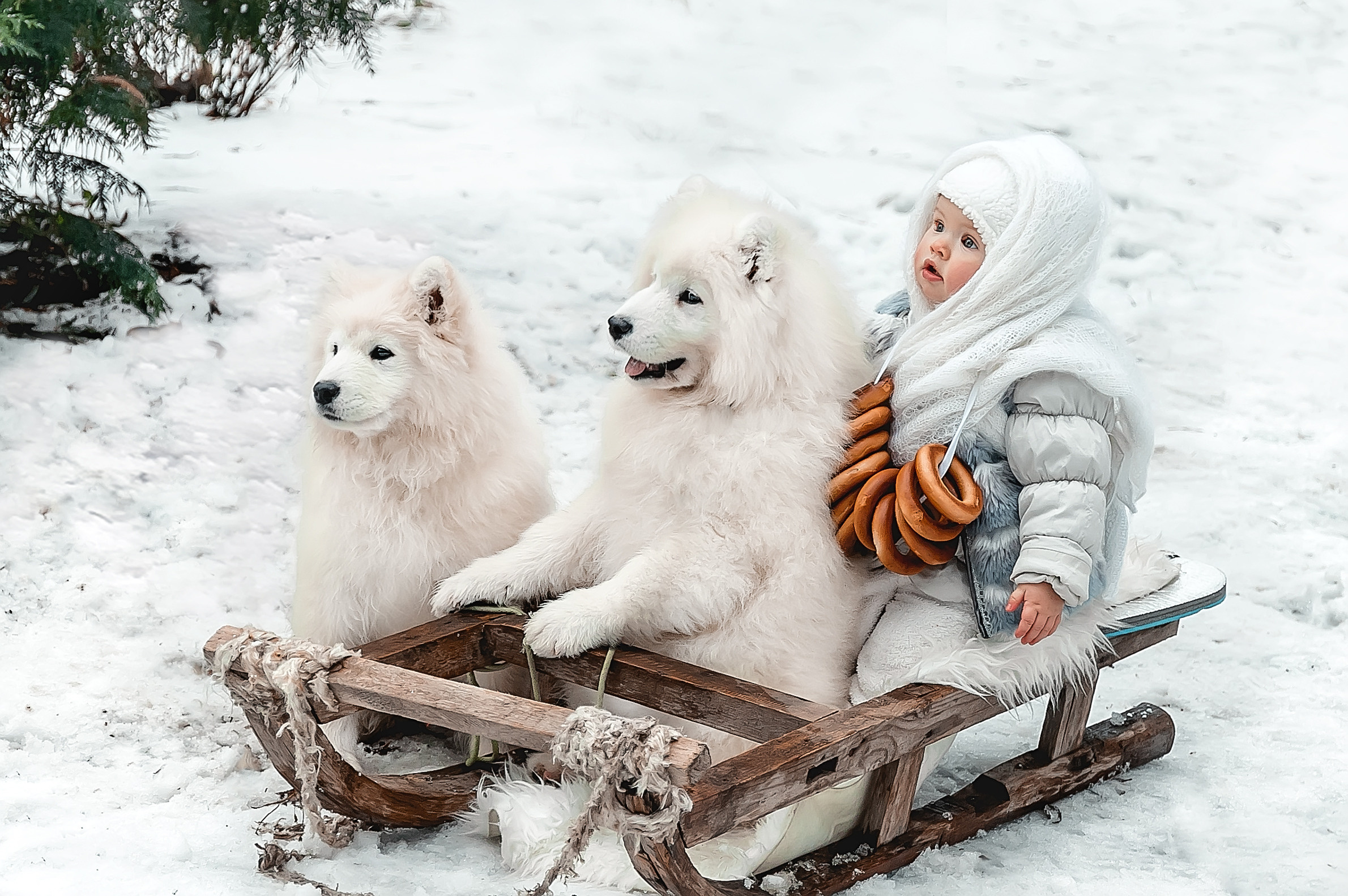 Новогодние и зимние фотосессии. Свадебный и семейный фотограф в Туле и Москве Полукарова Юлия