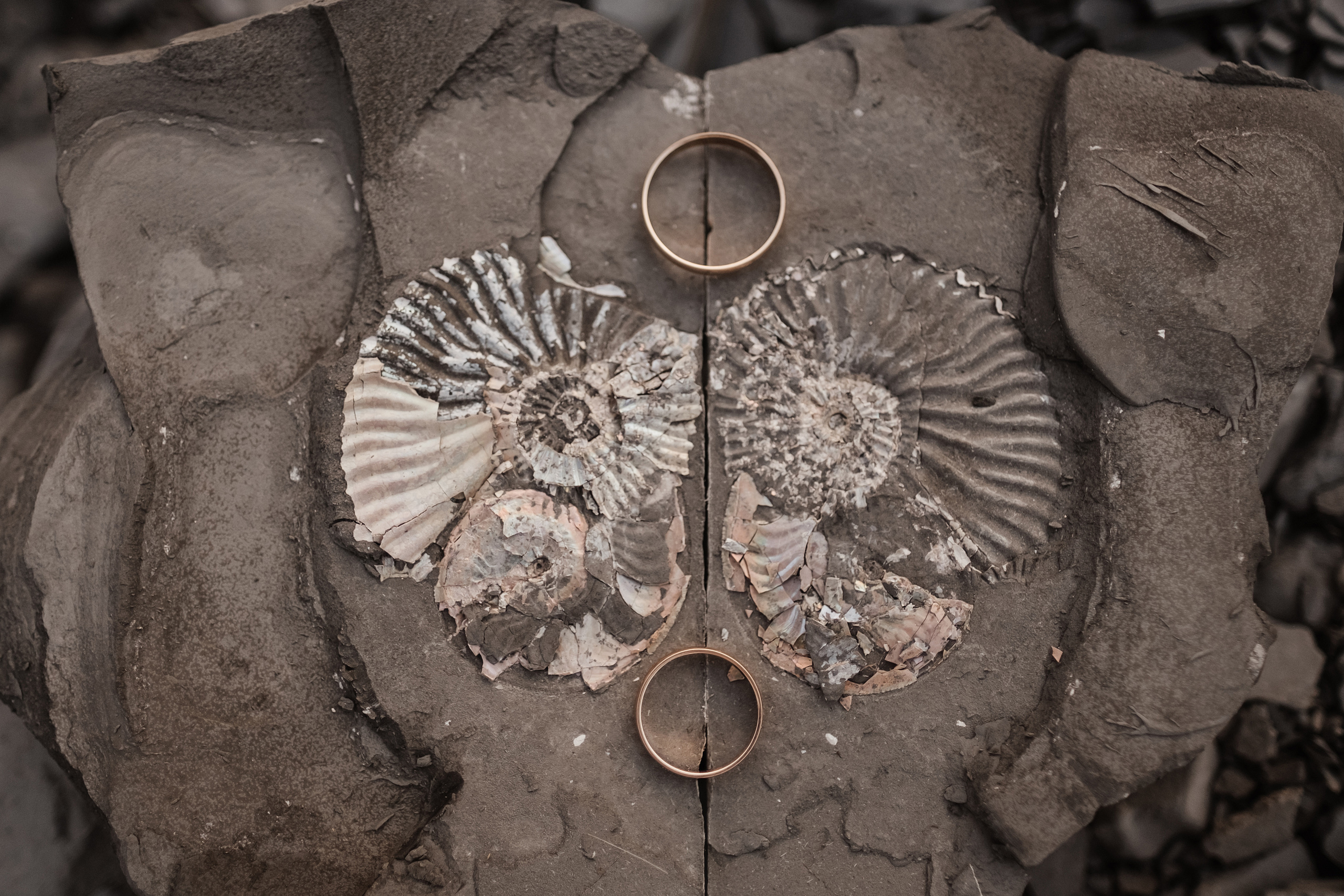 Лена и Родион. Свадебный и семейный фотограф в Ульяновске Анастасия Мышенкова