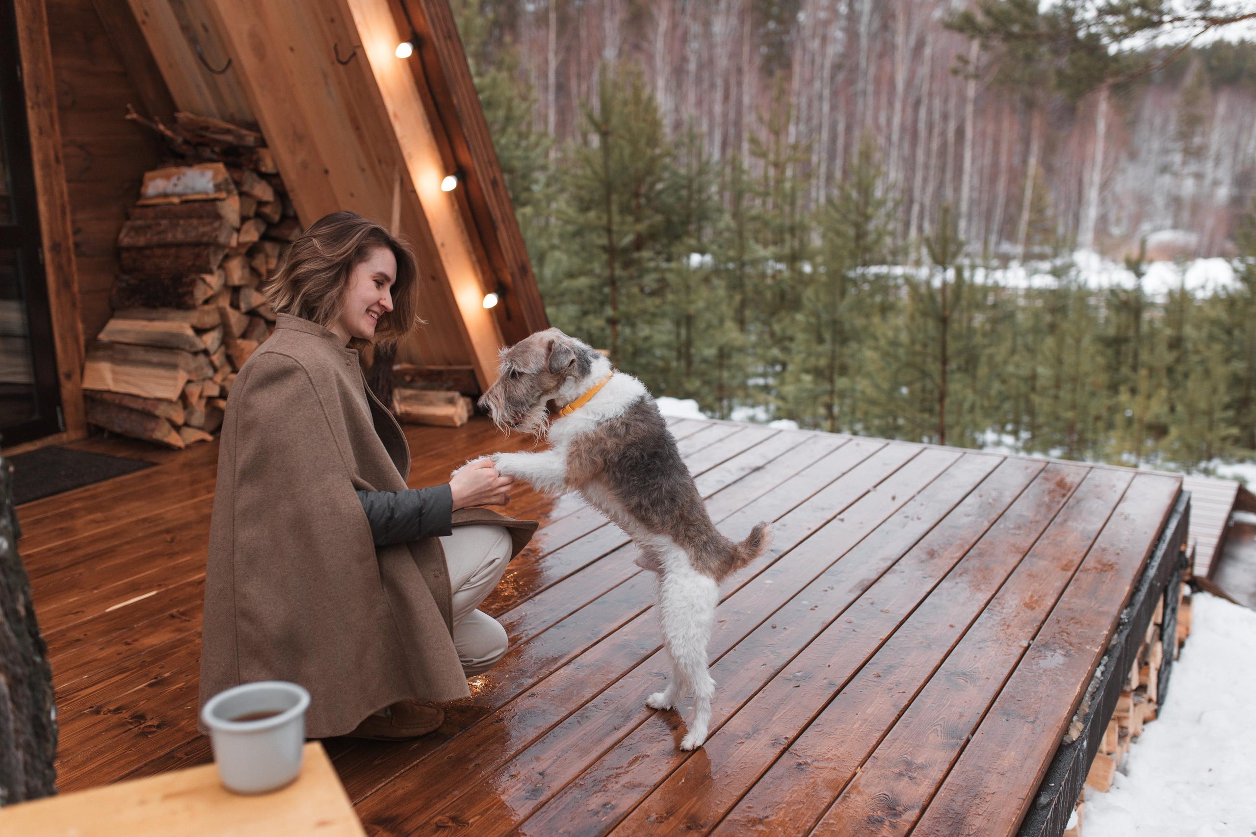 Домик в лесу. Семейный фотограф в Москве. Дарья Долгих