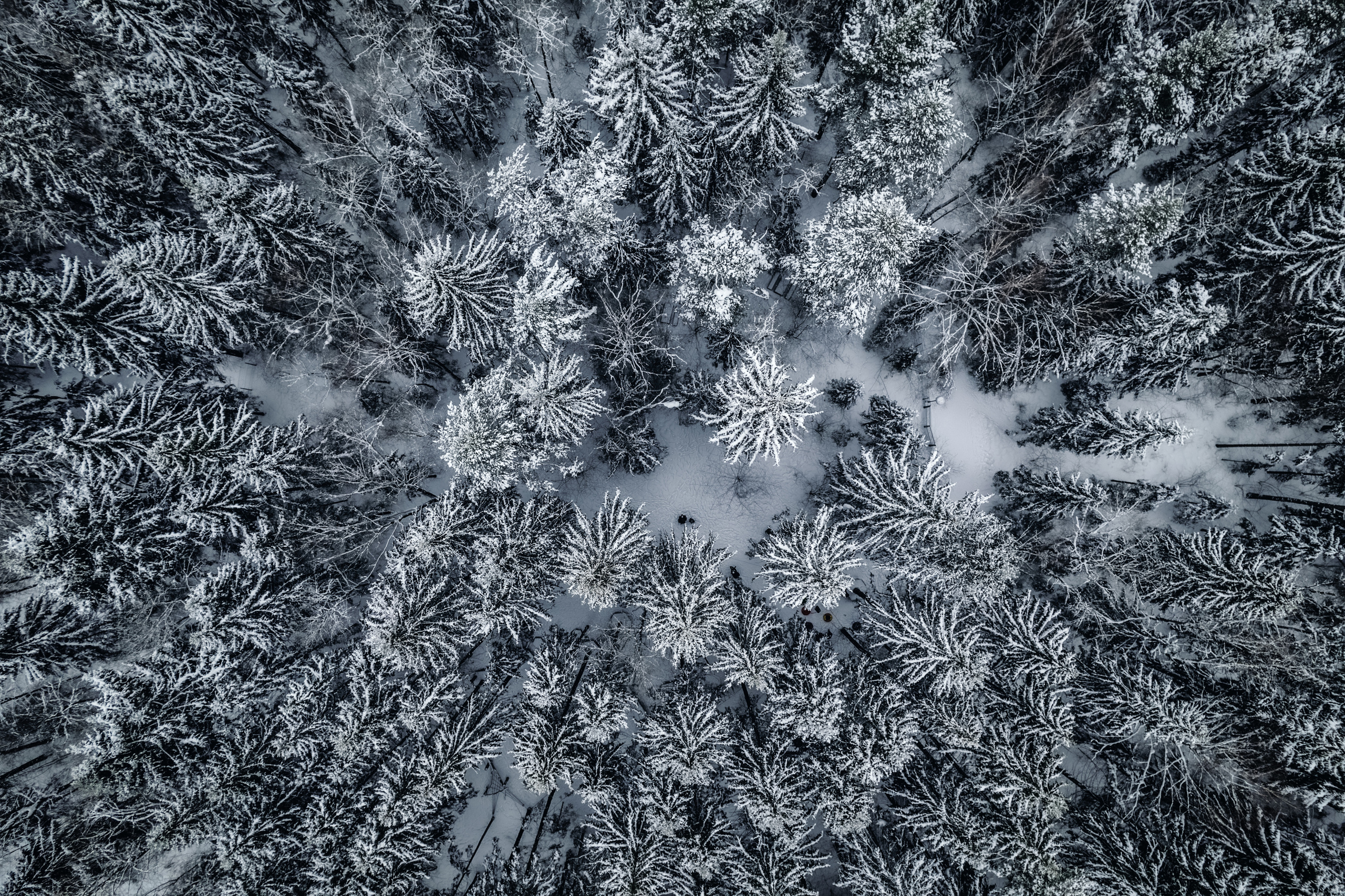 Аэро. Фотограф. Москва