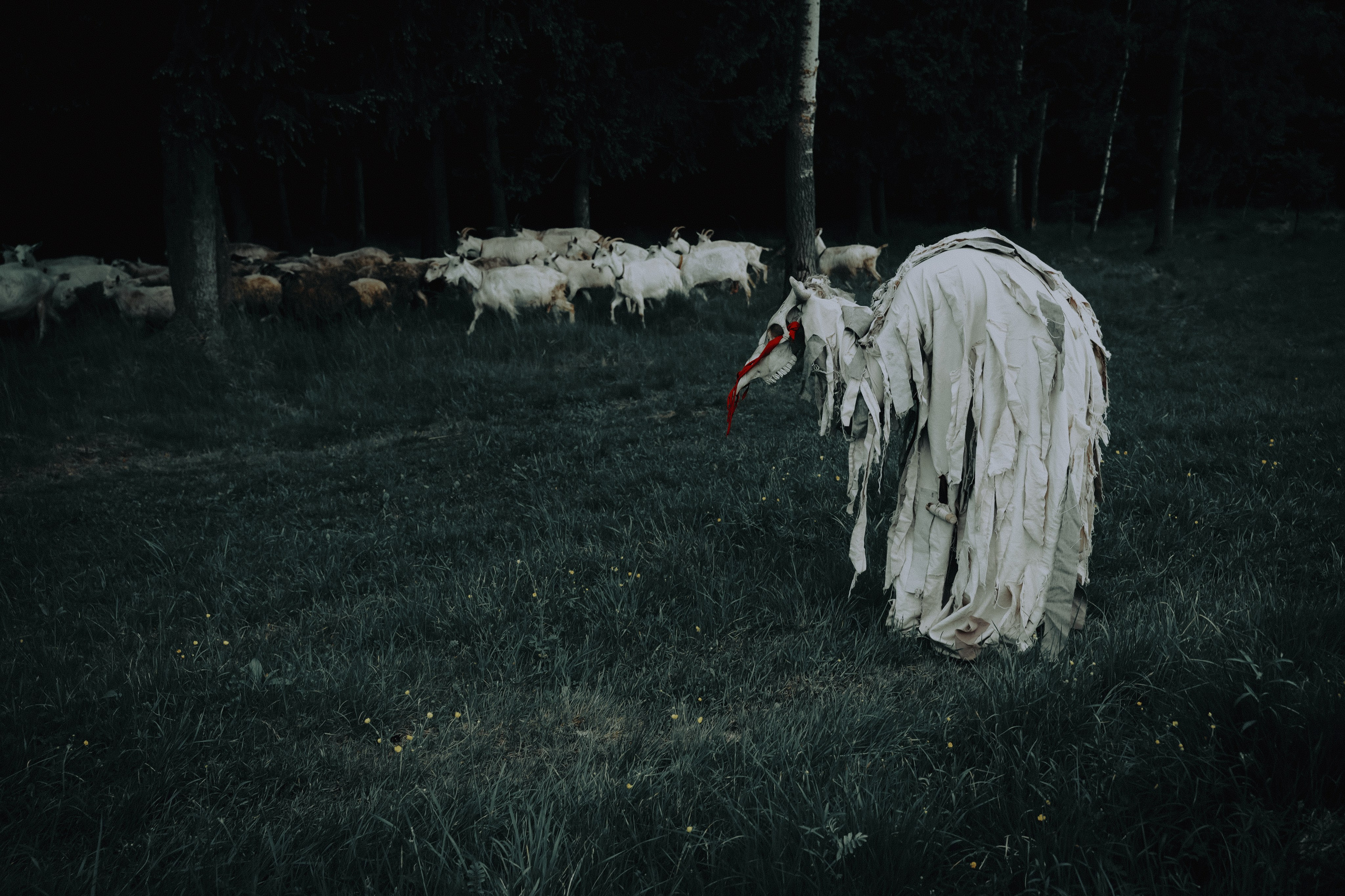 Театр SubRosa *персонажи. Портретный фотограф в Смоленске и Москве Мария Громова