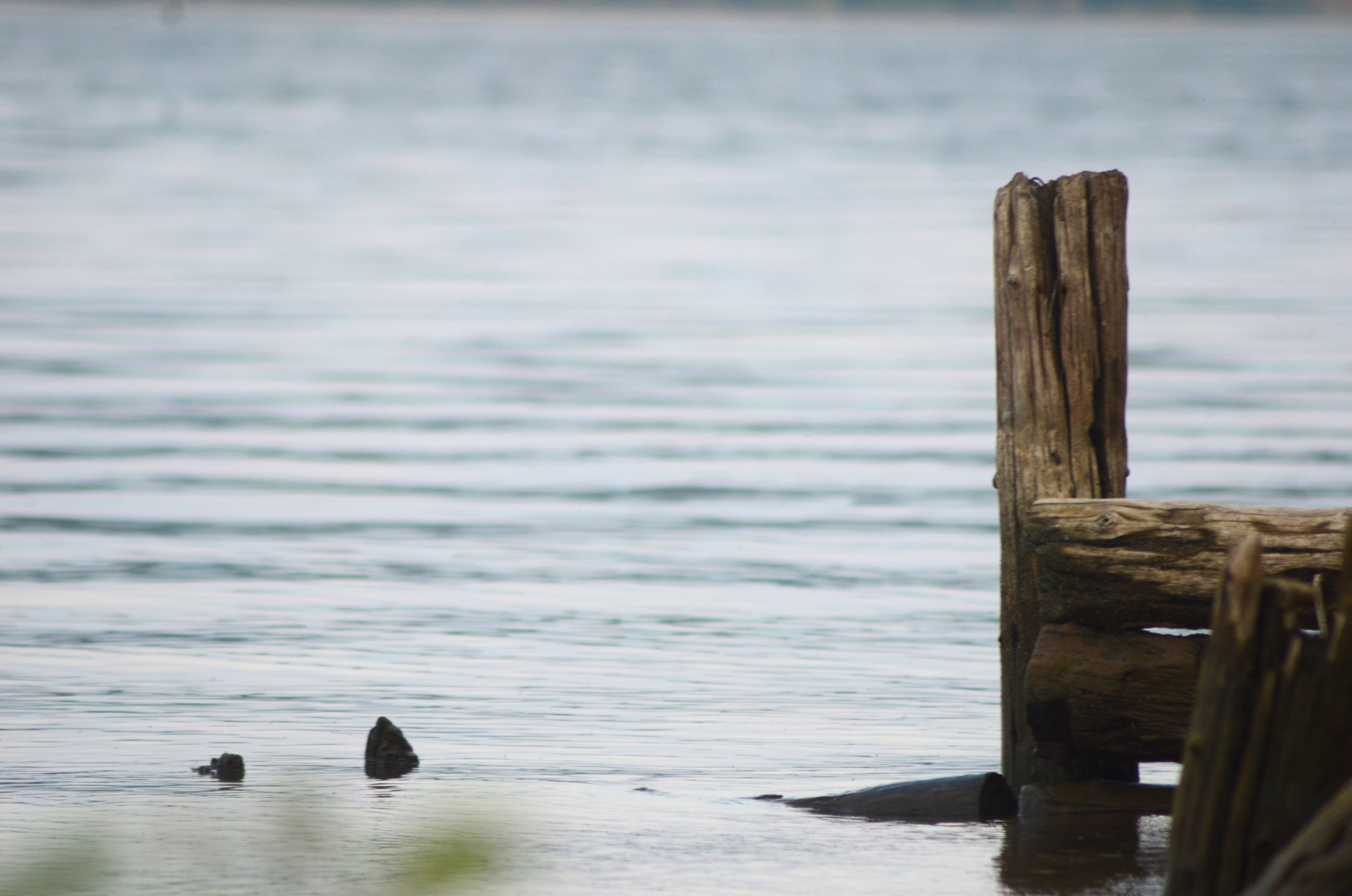 Системы хранения с фасадами из дикого дерева. Авторская фотография. Близнецовые пламёна