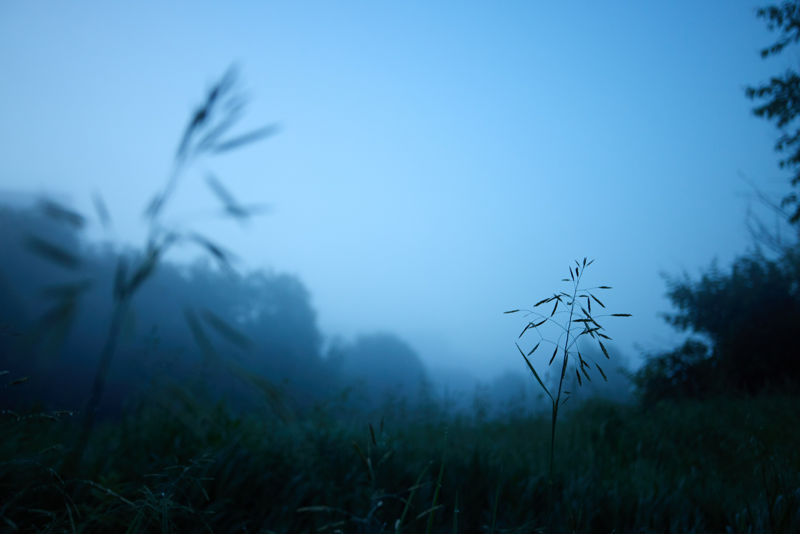Landscapes. Joseph Anton