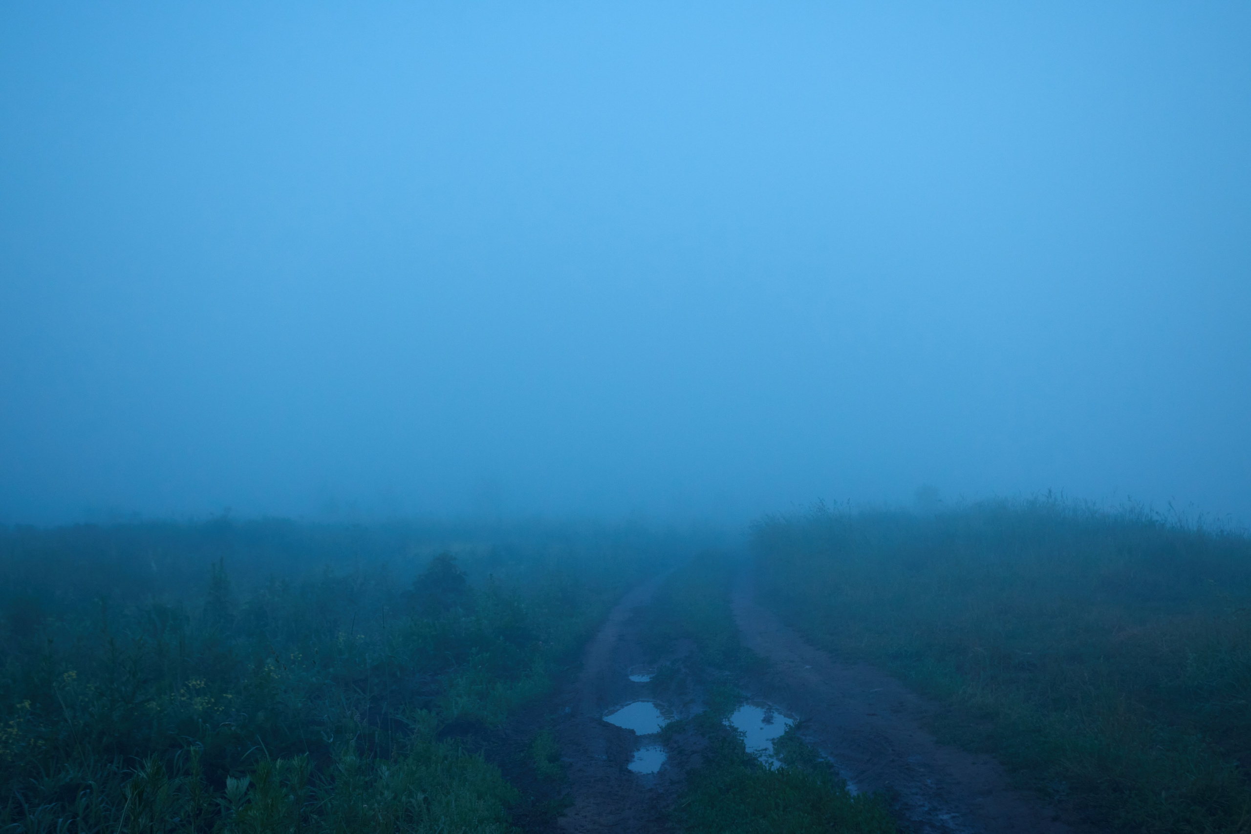 Landscapes. Joseph Anton