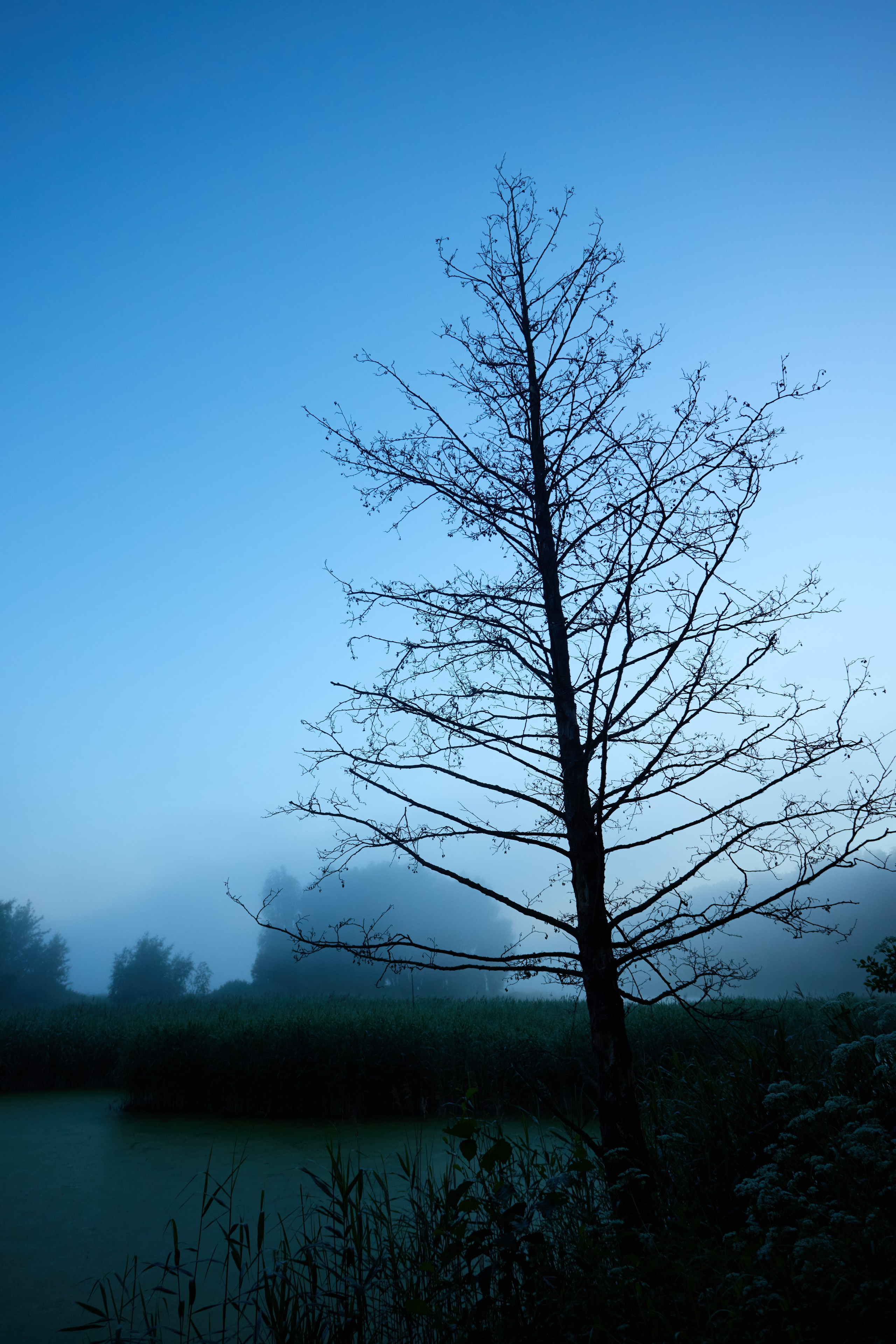 Landscapes. Joseph Anton