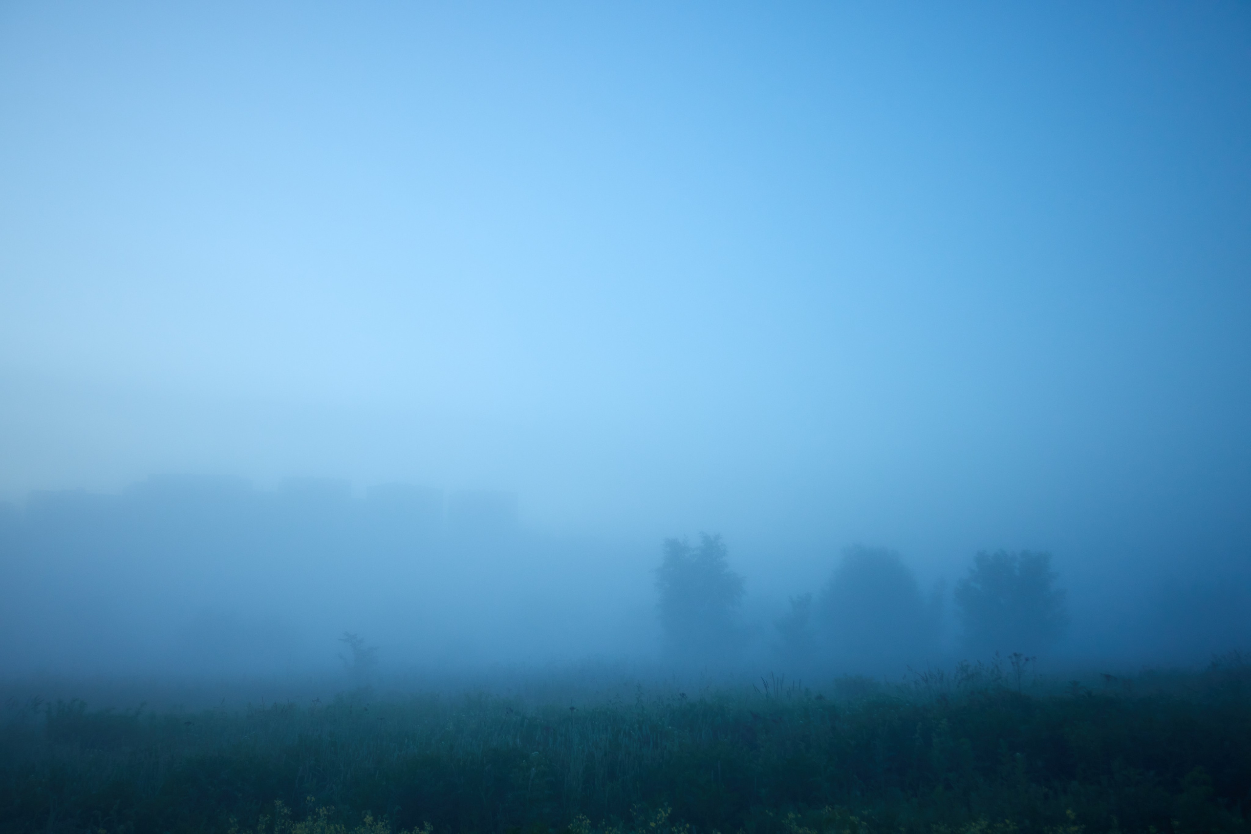 Landscapes. Joseph Anton
