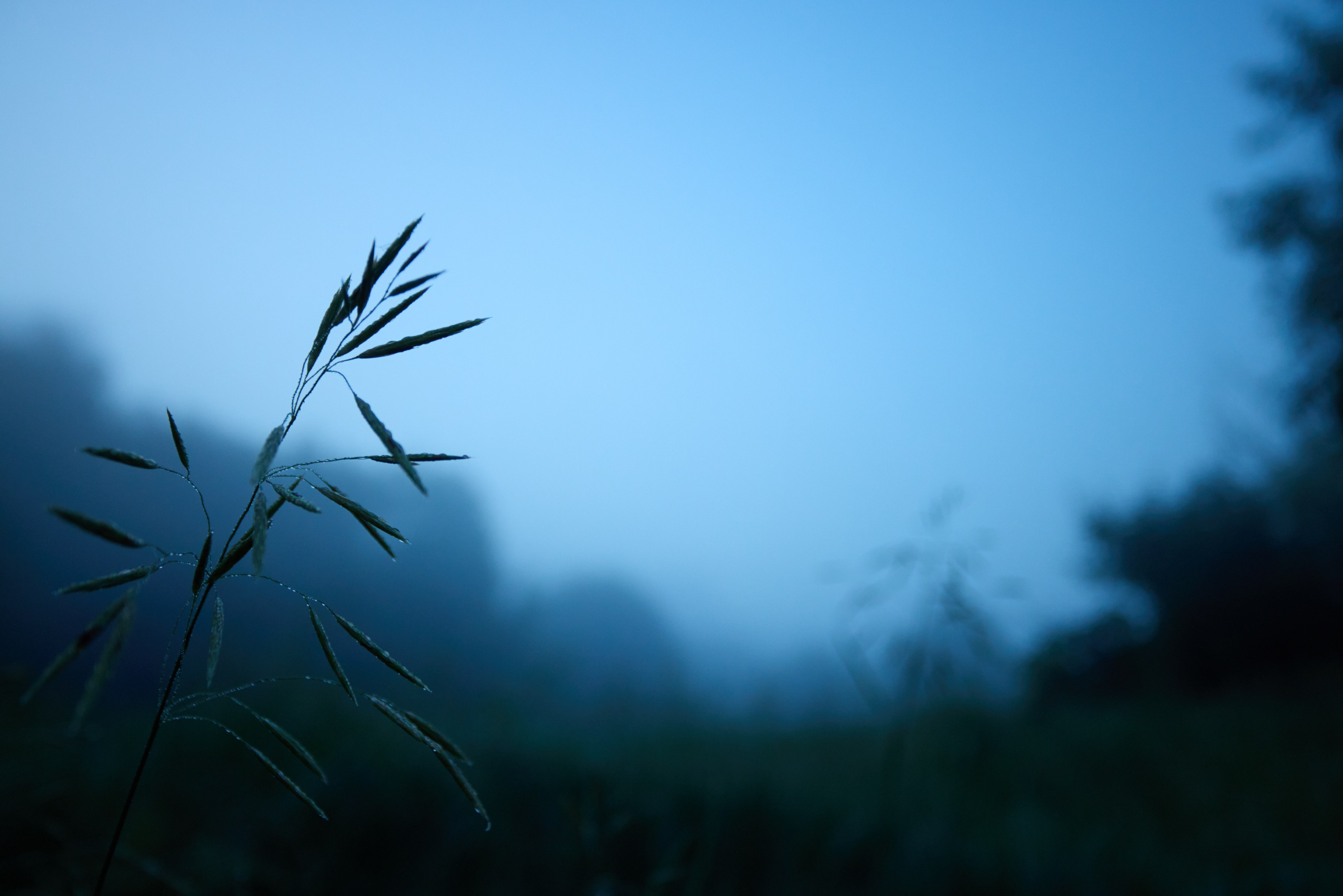 Landscapes. Joseph Anton