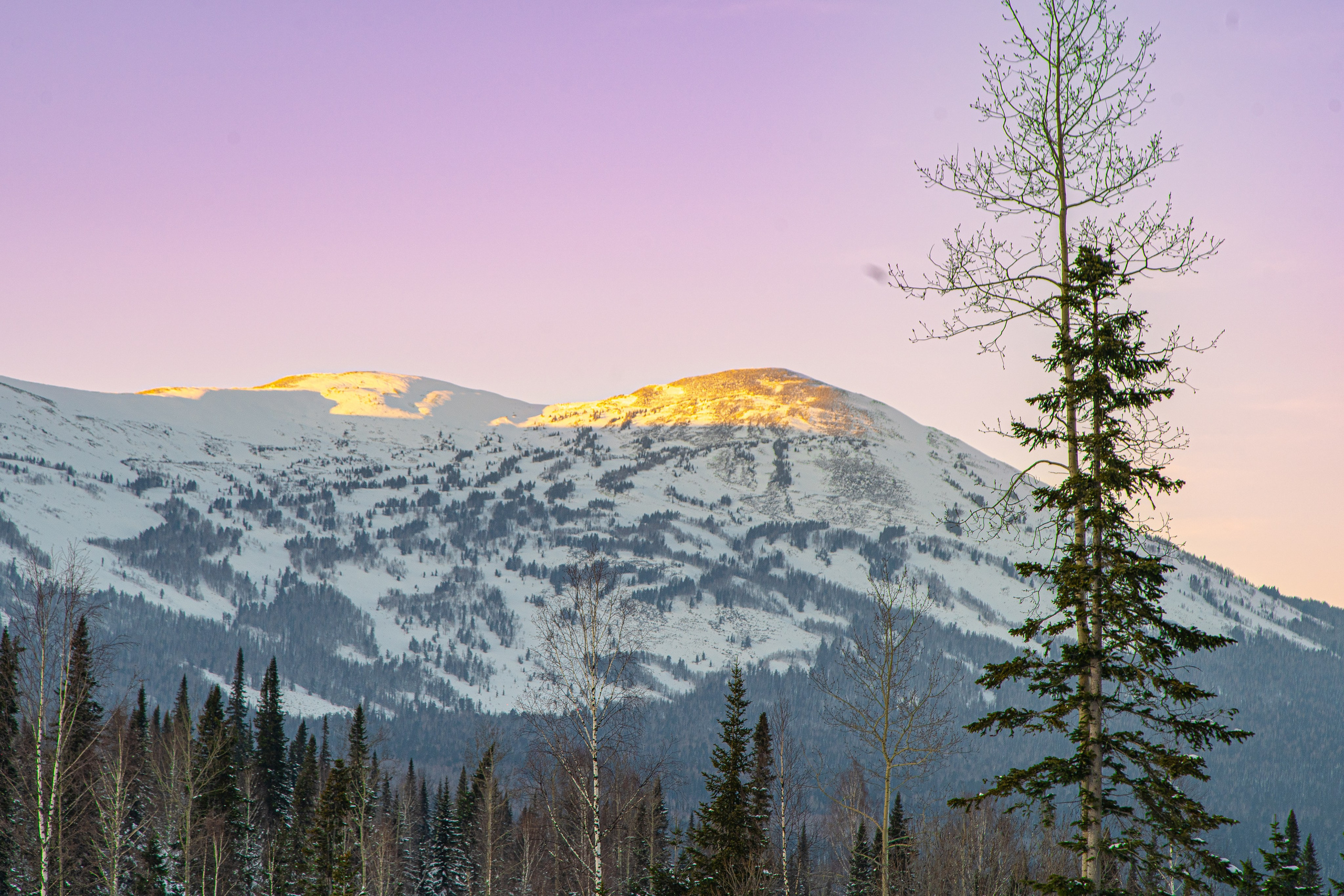 Home. Анастасия Паршукова — фотограф Шерегеш Новосибирск