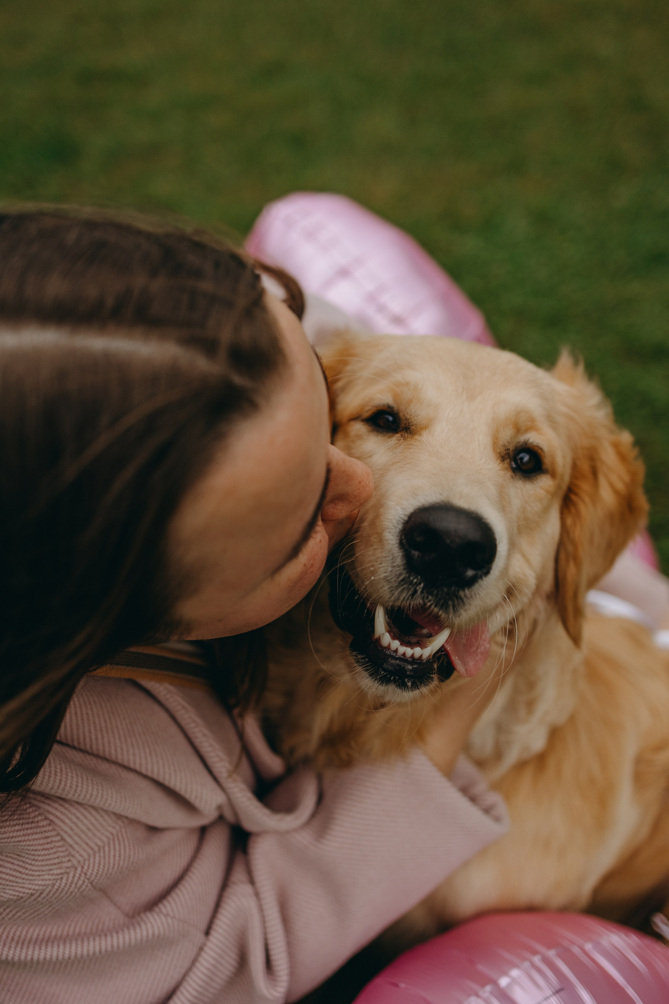 Бетти и ее семья. Фотограф — Анималист | Санкт-Петербург