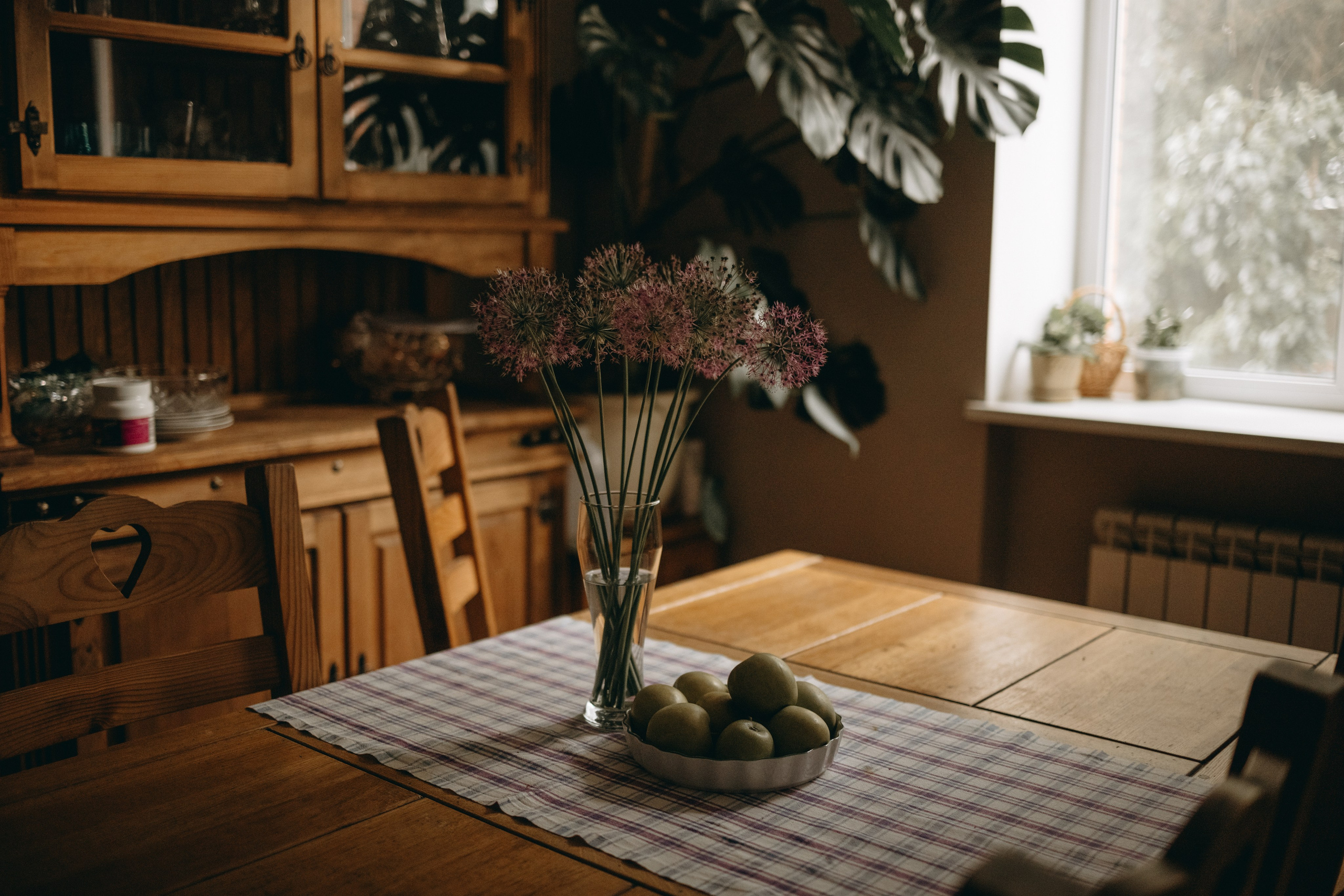Софа и ее хвостики. Фотограф — Анималист | Санкт-Петербург