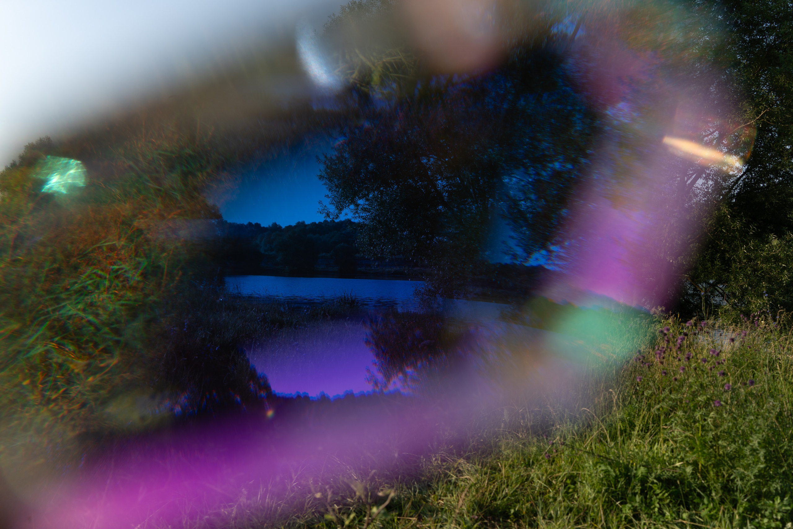 Купание лошадей 05.07.2024. Портретный и семейный фотограф в Москве/Видное