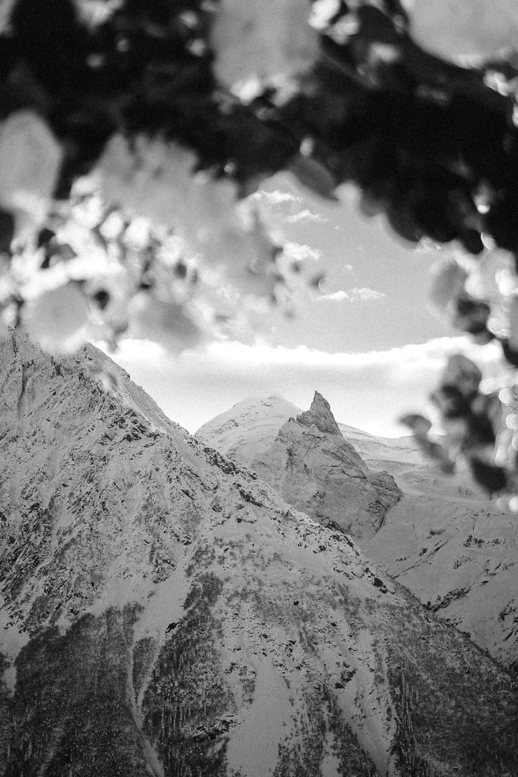 MAXIM & YAROSLAVA | DOMBAY. Фотограф Настя Конник | Пятигорск | Эльбрус | Домбай | Архыз