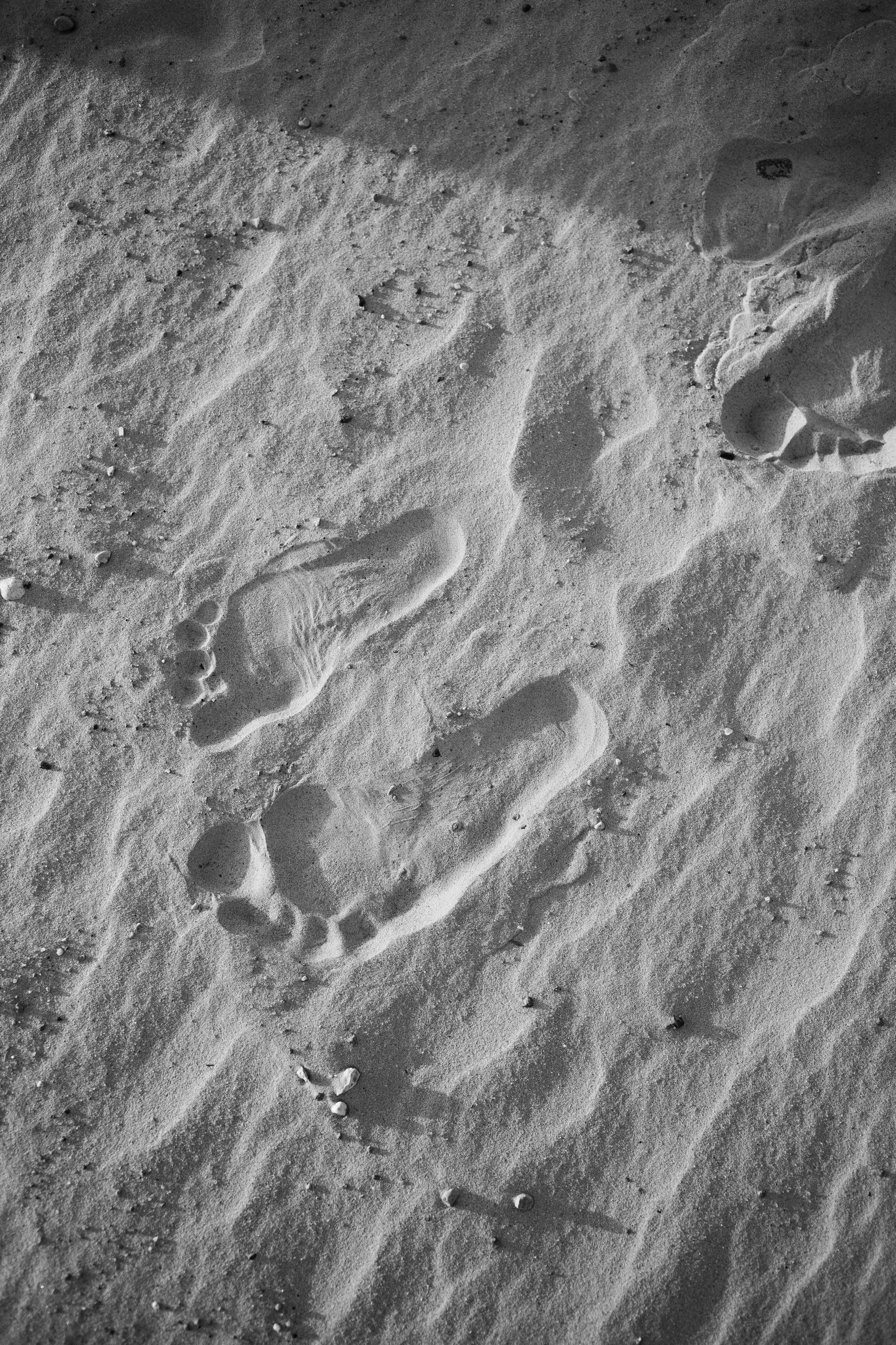 Дарина и Михаил 2. Фотограф в Минске Анастасия Ткаченко