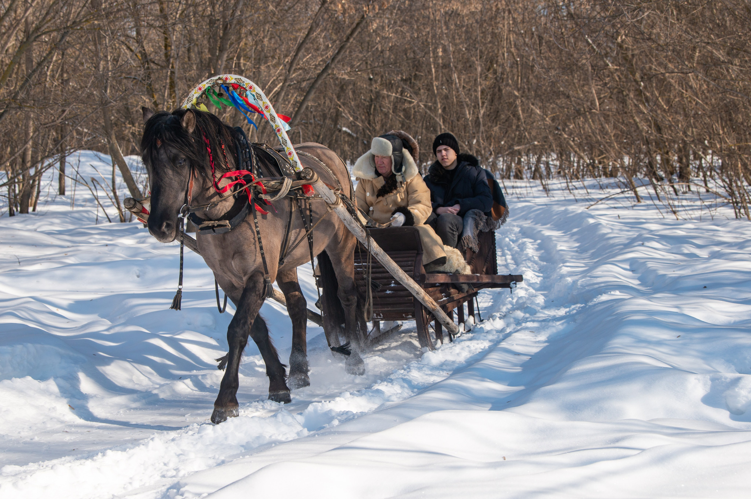 Масленичные гулянья в Боковке. Конный фотограф в Саратове Юлия Иванова