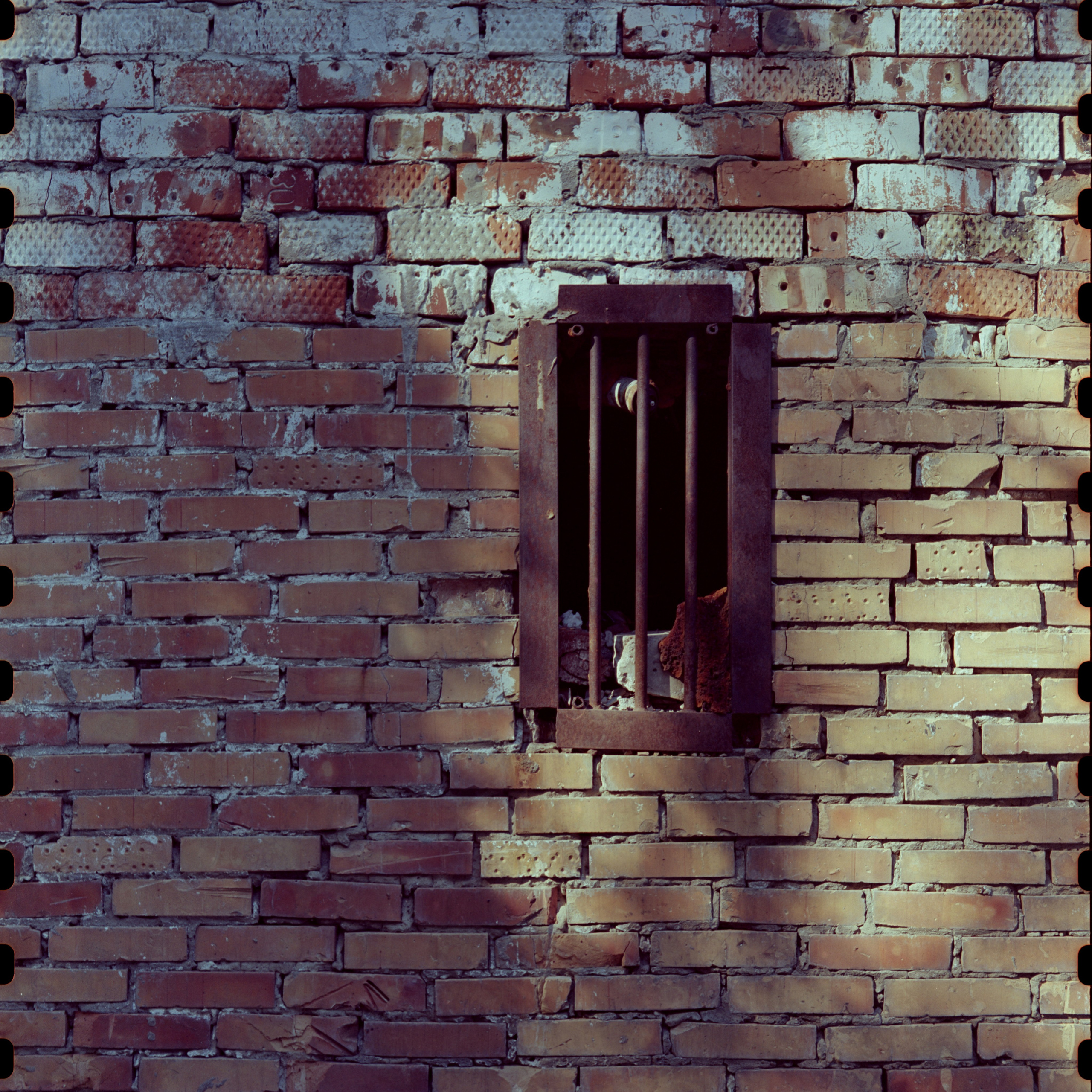 Mamiya C220. Кирилл Ульянов