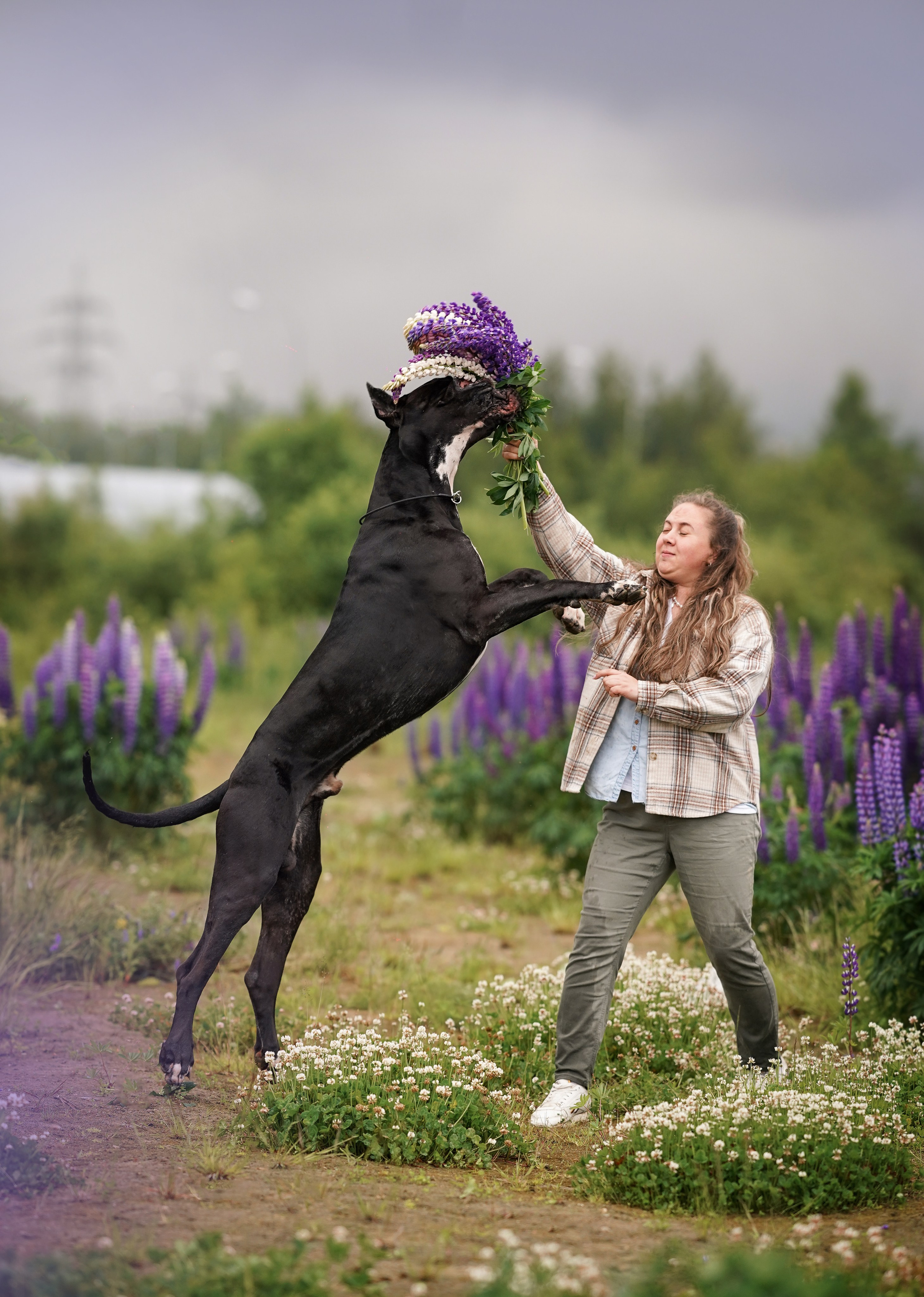 Вика и Трофей люпины. Фотограф-анималист в Санкт-Петербурге Яна Мартынова