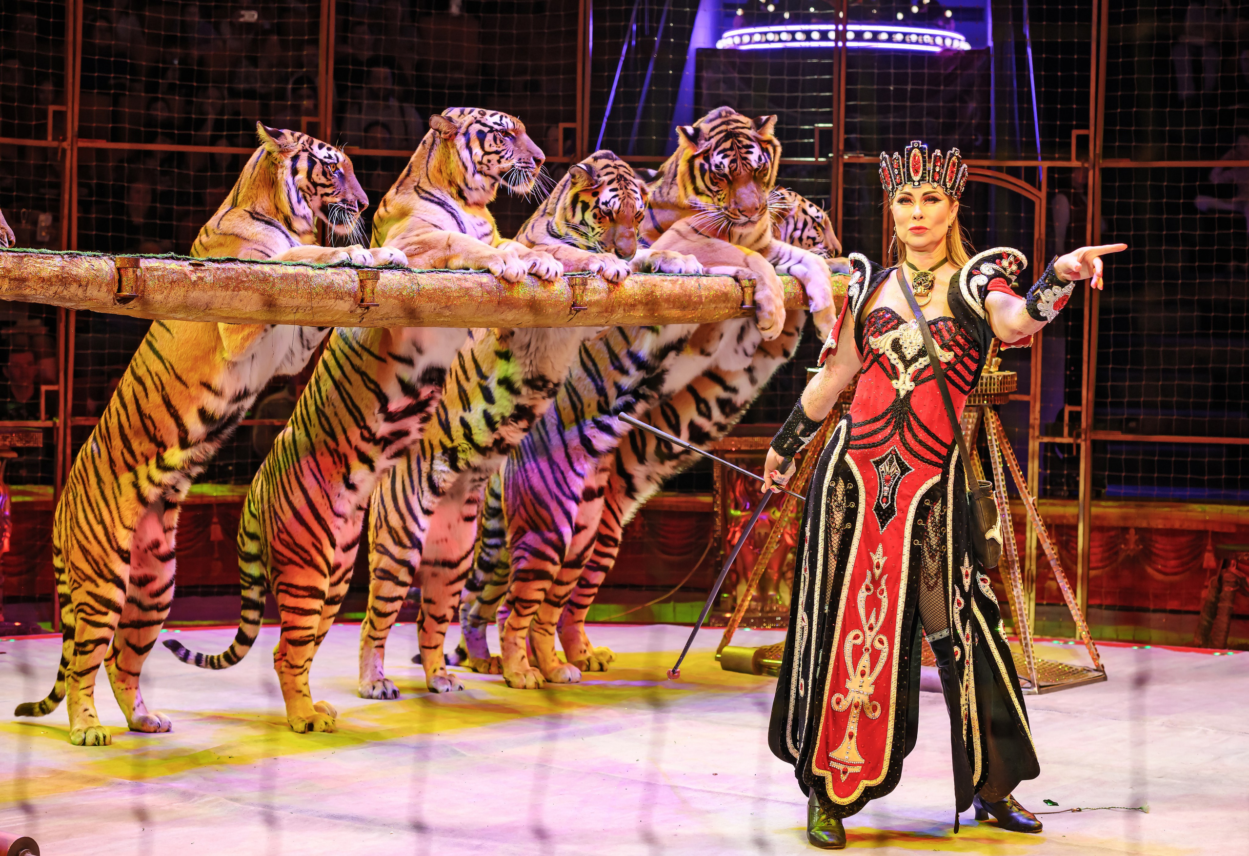 Фотограф Андрей Пухов (Jazz)