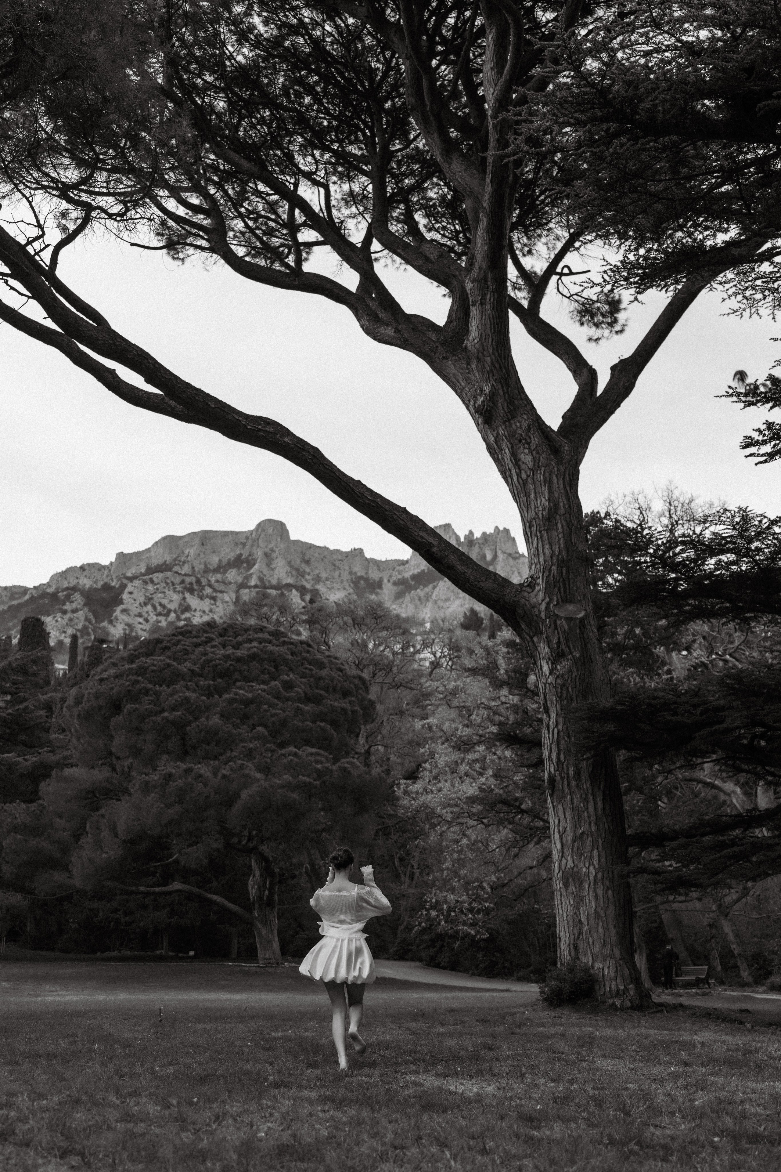 Под кроной вечности. Фотограф и Видеограф Севастополь Крым