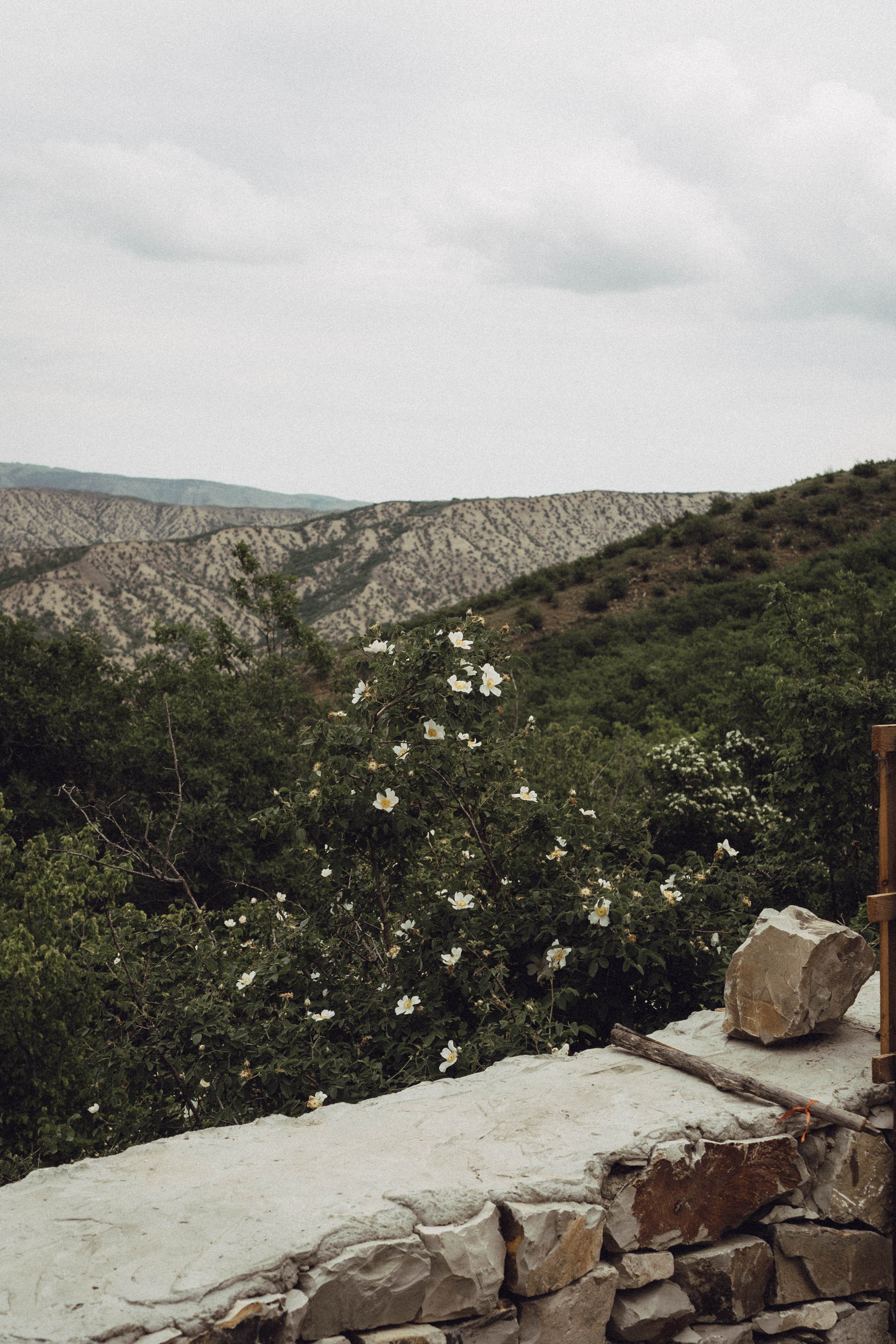 Кавказ. Профессиональный фотограф, Санкт-Петербург — Виктория Богомолова