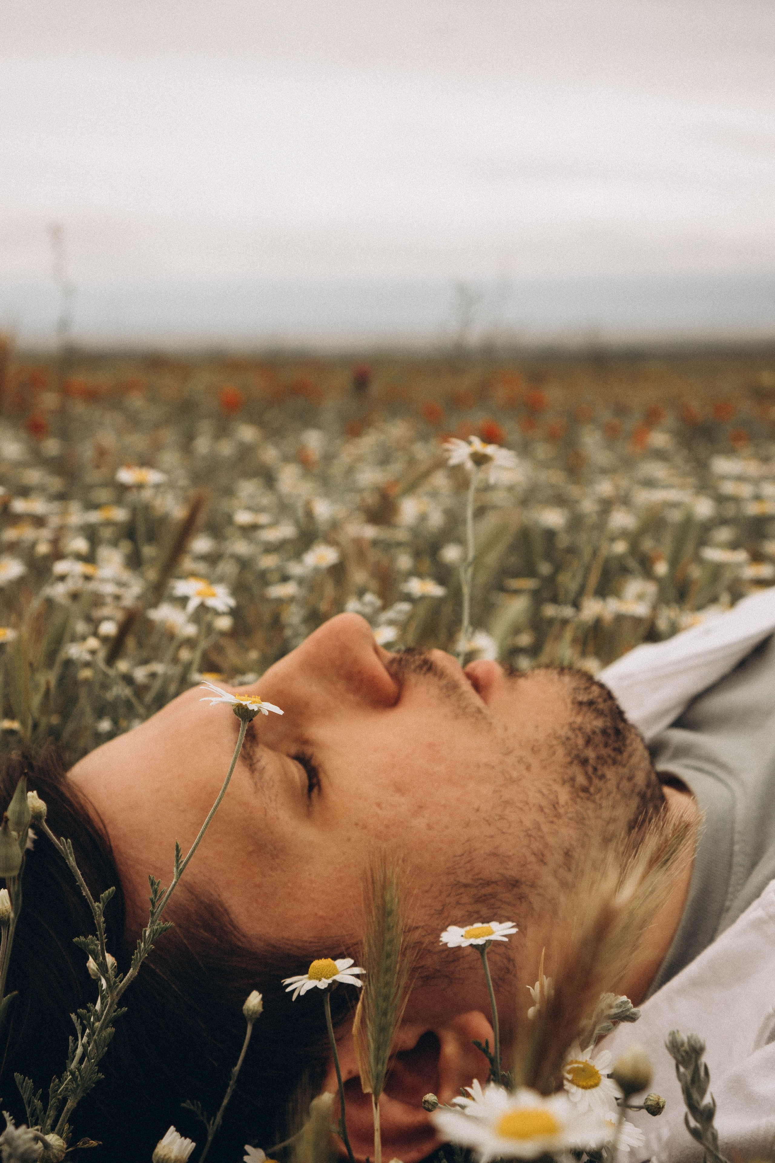 Маки. Профессиональный фотограф, Санкт-Петербург — Виктория Богомолова