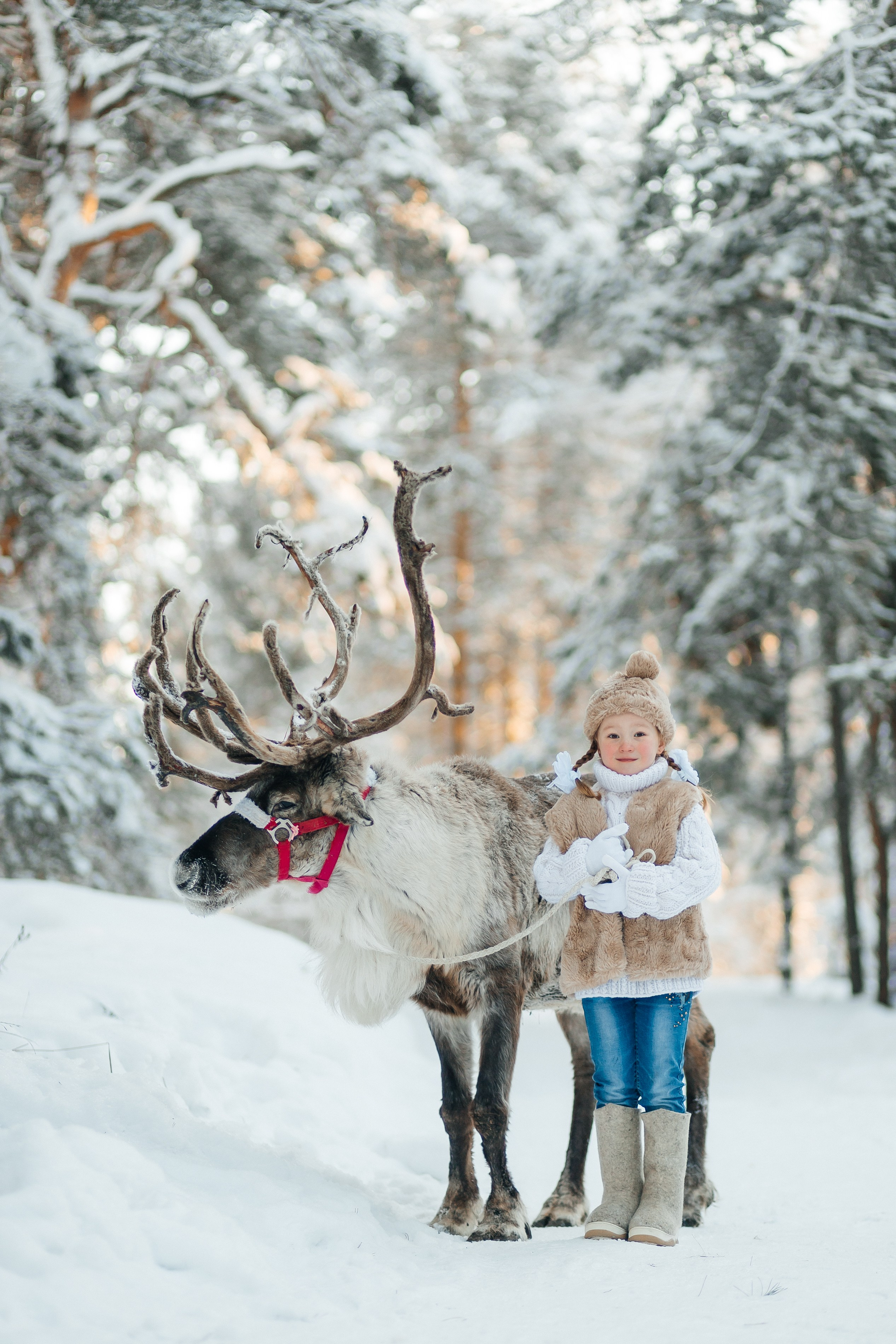 СЕВЕРНЫЙ ОЛЕНЬ. Свадебный и семейный фотограф Динар Гильмутдинов