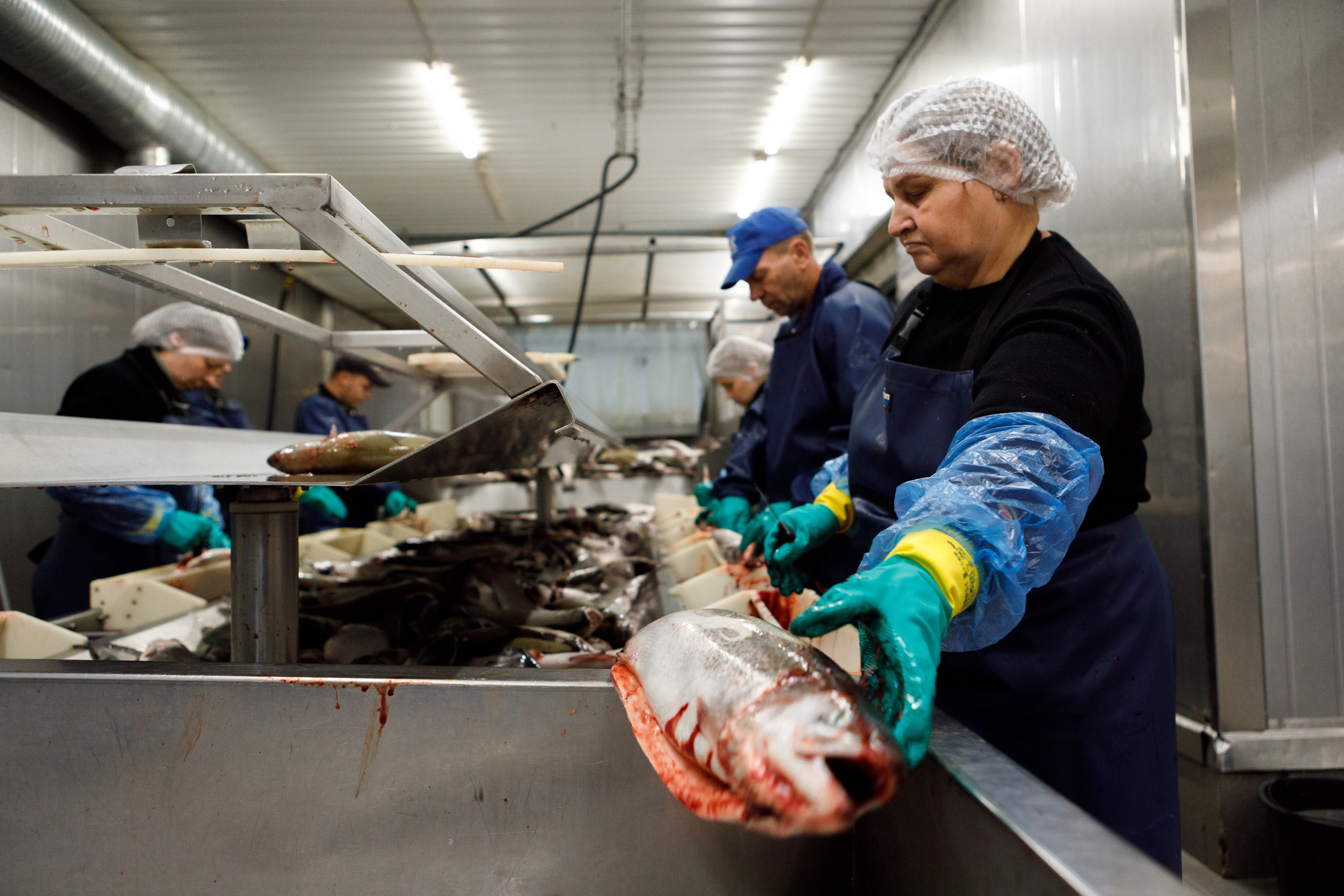Kala-Ranta Trout Farm. Commercial photographer | Anton Ermakov