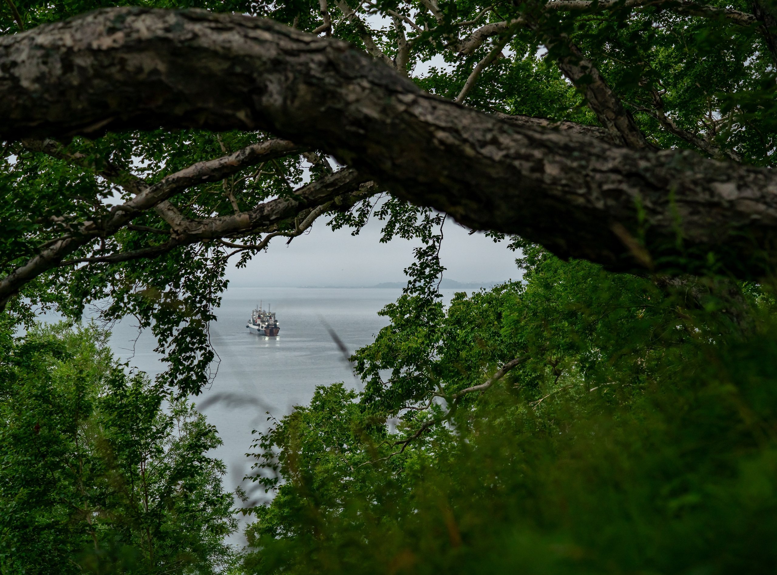Камчатка. Семейный фотограф Варвара Сорока в городе Москве