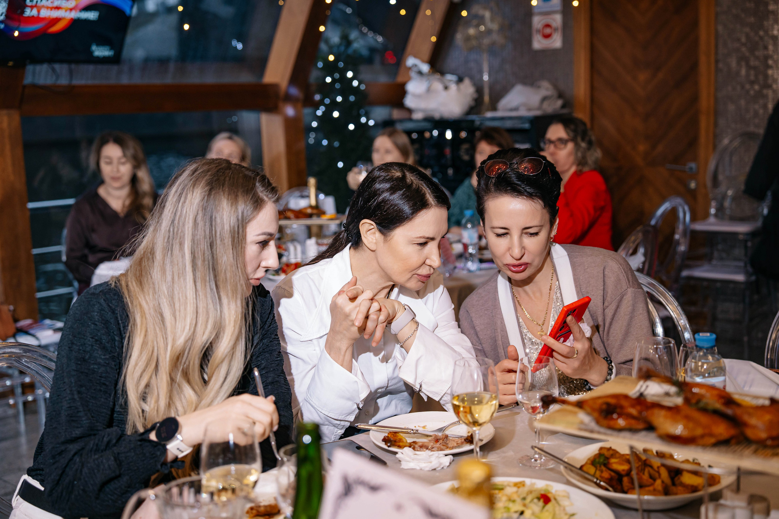 Конференция Linerase Expert Day на теплоходе Жемчужина