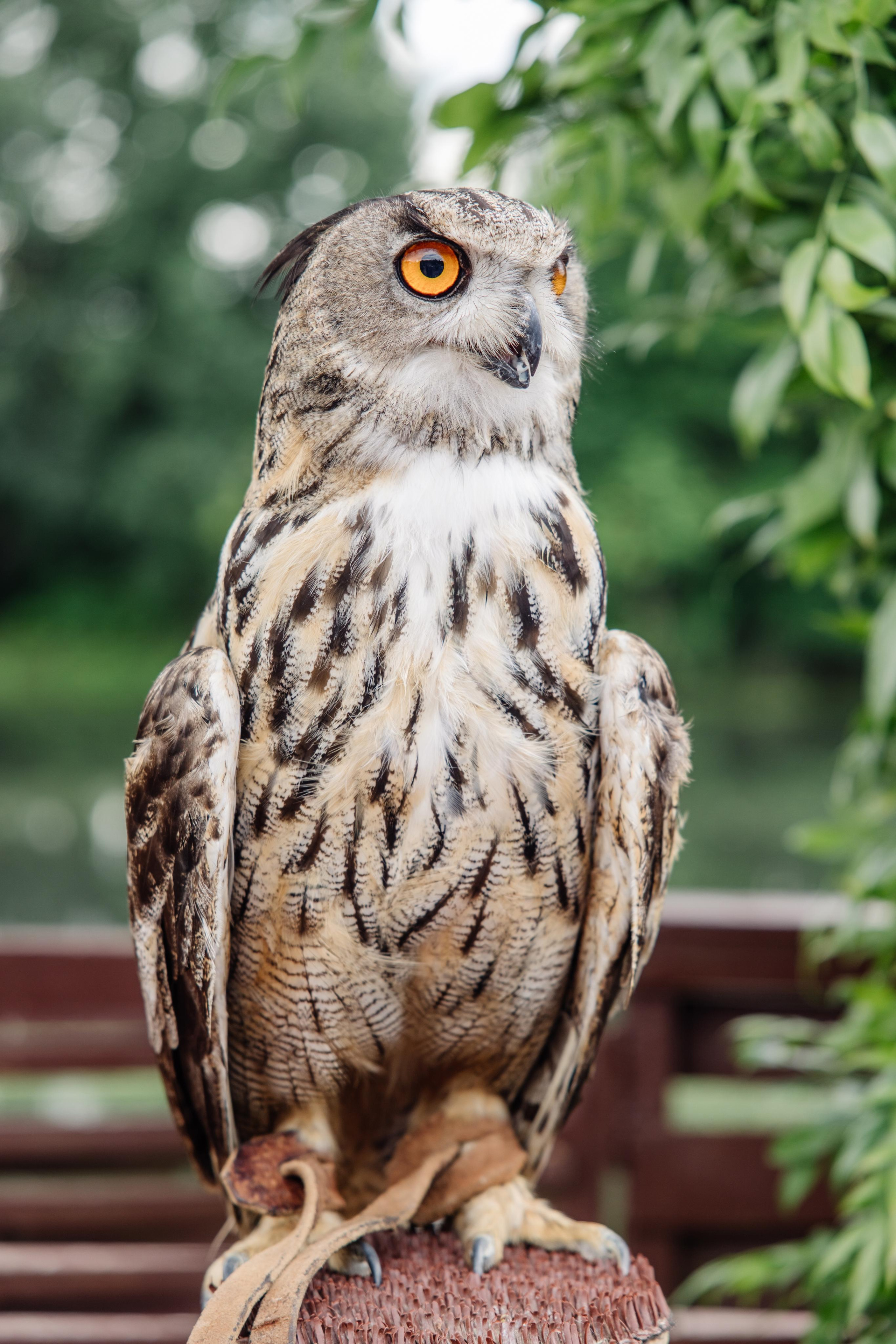 Бохо-шаманизм. Репортажный фотограф Ольга Кочетова в Москве
