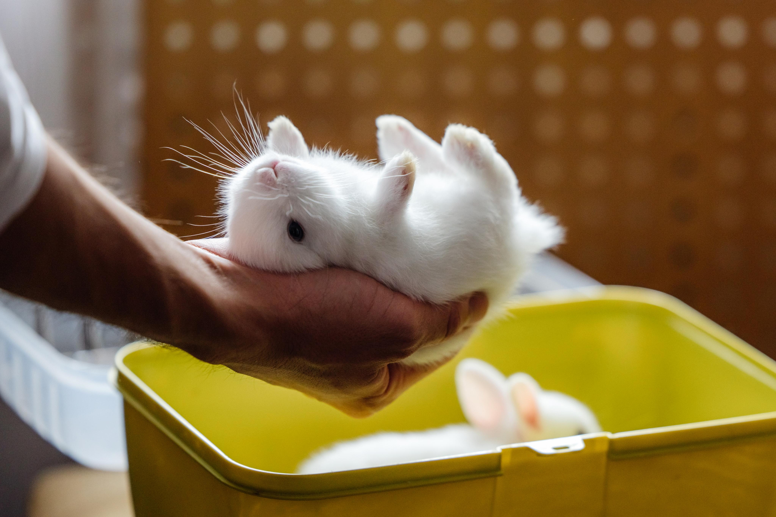 Бохо-шаманизм. Репортажный фотограф Ольга Кочетова в Москве