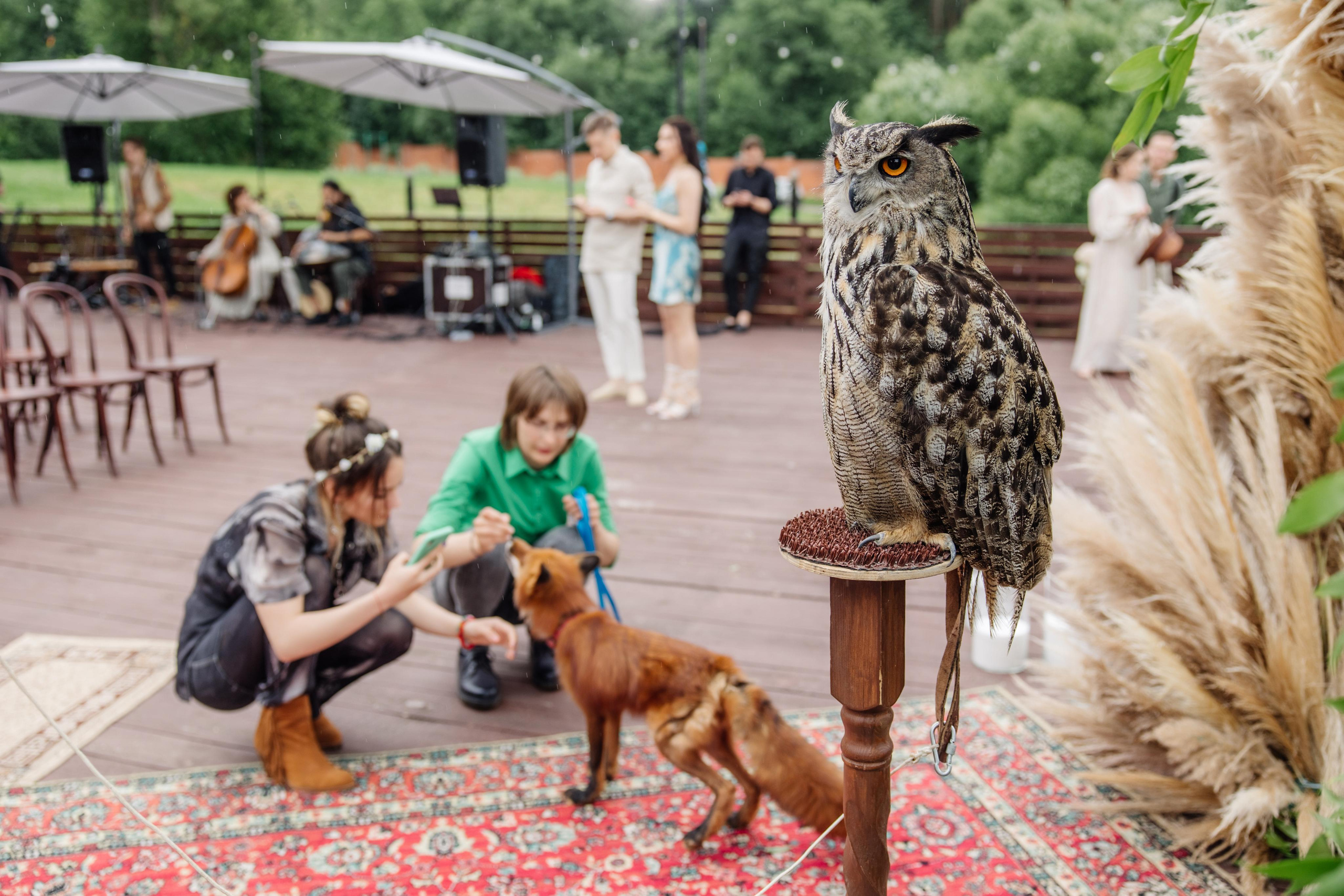 Бохо-шаманизм. Репортажный фотограф Ольга Кочетова в Москве