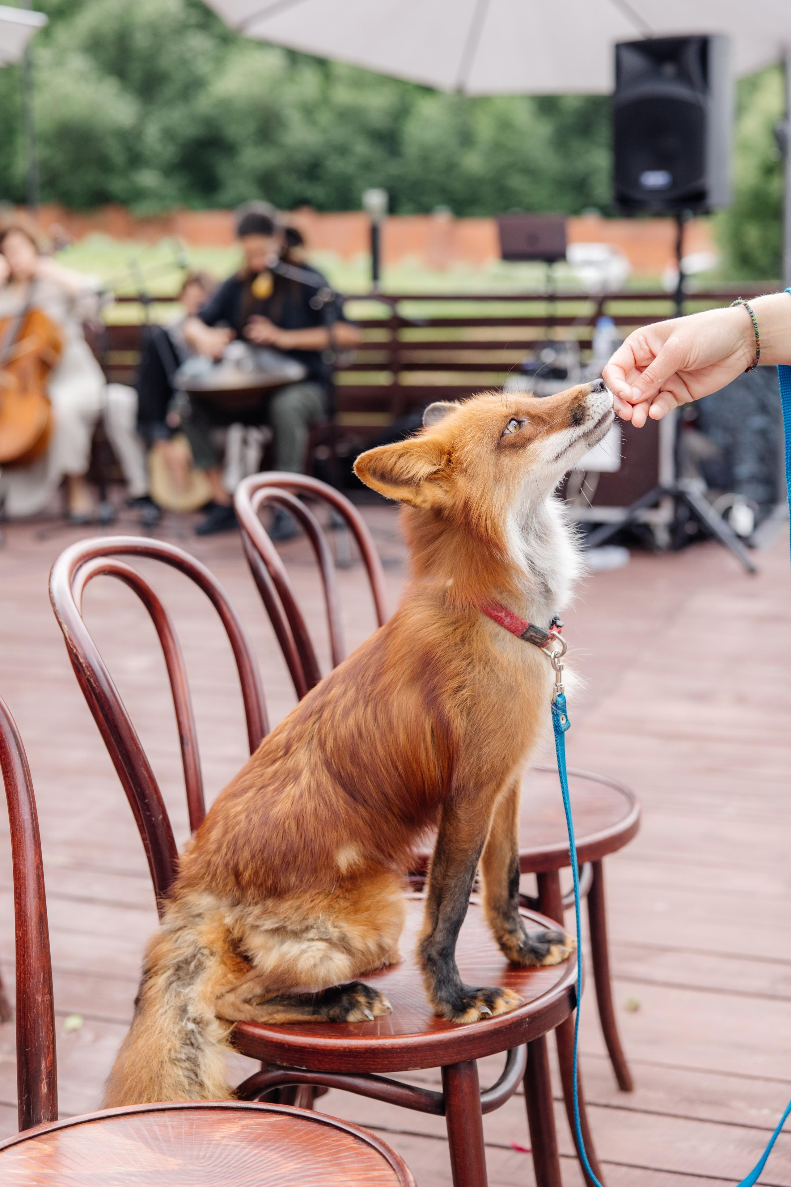 Бохо-шаманизм. Репортажный фотограф Ольга Кочетова в Москве