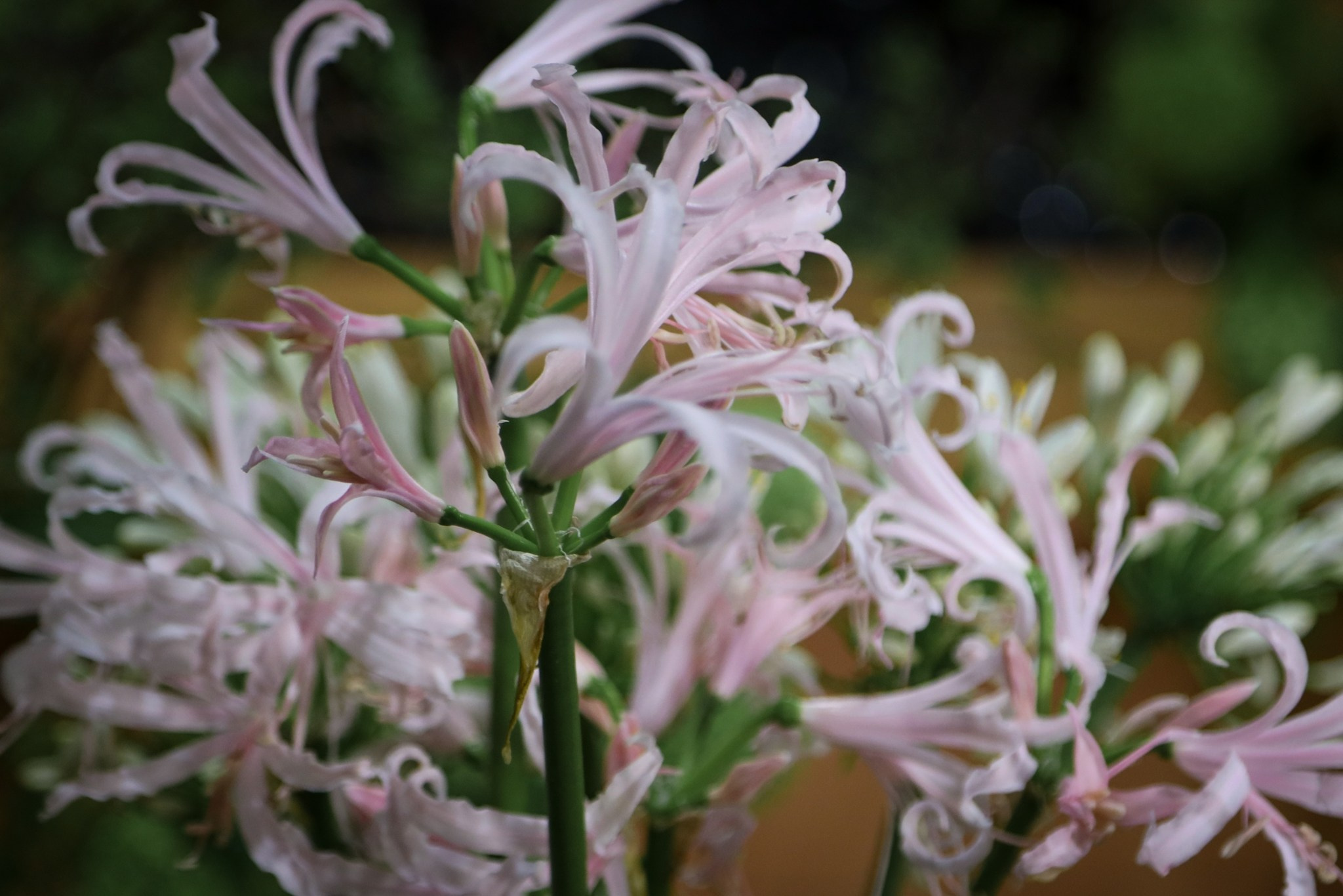 Фотографии с выставки Репетиция весны. Фотосессии и репортаж — Фотограф в Москве — Рина Серёгина