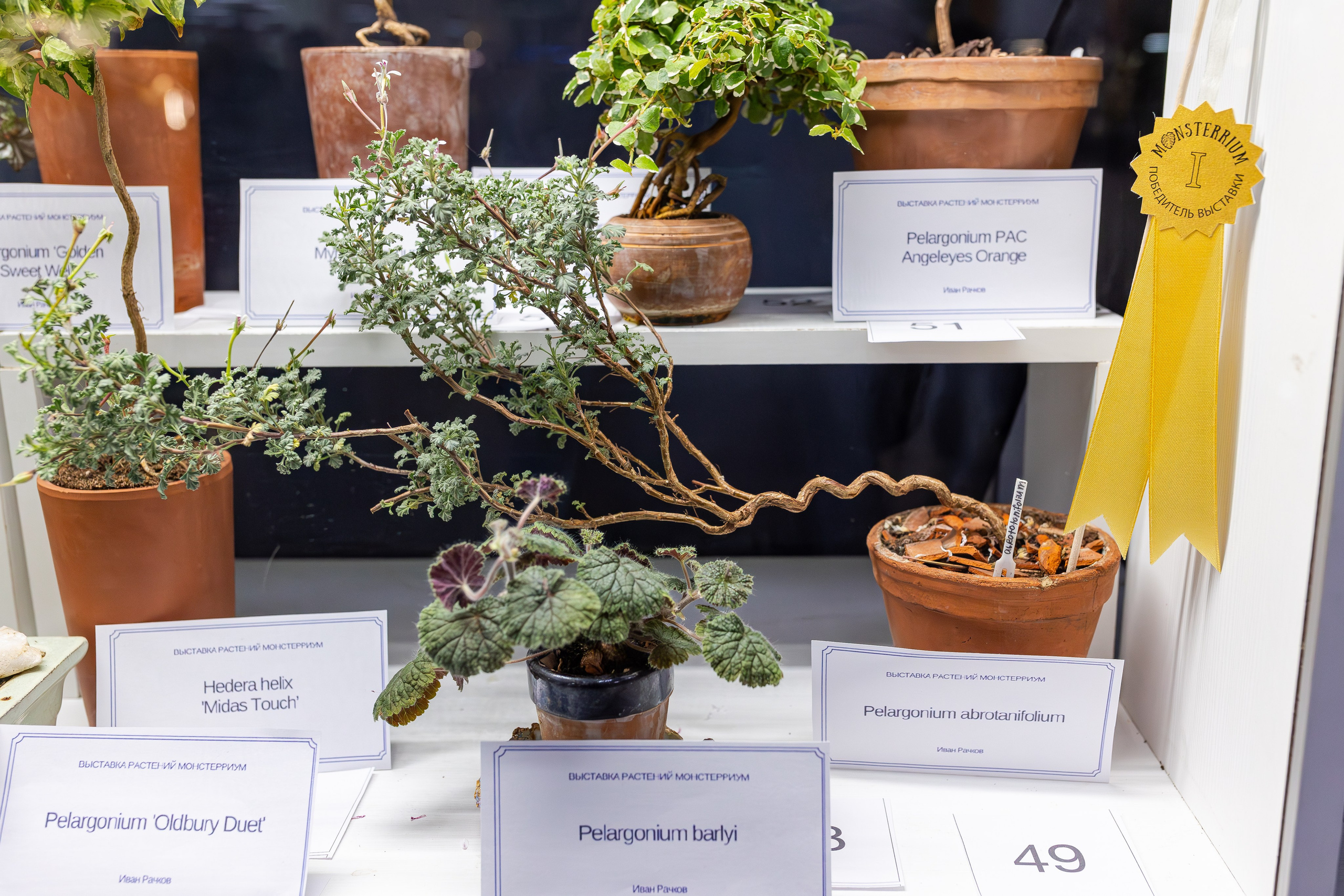 Монстериум апрель 2026. Александра Куликова фотограф, Москва