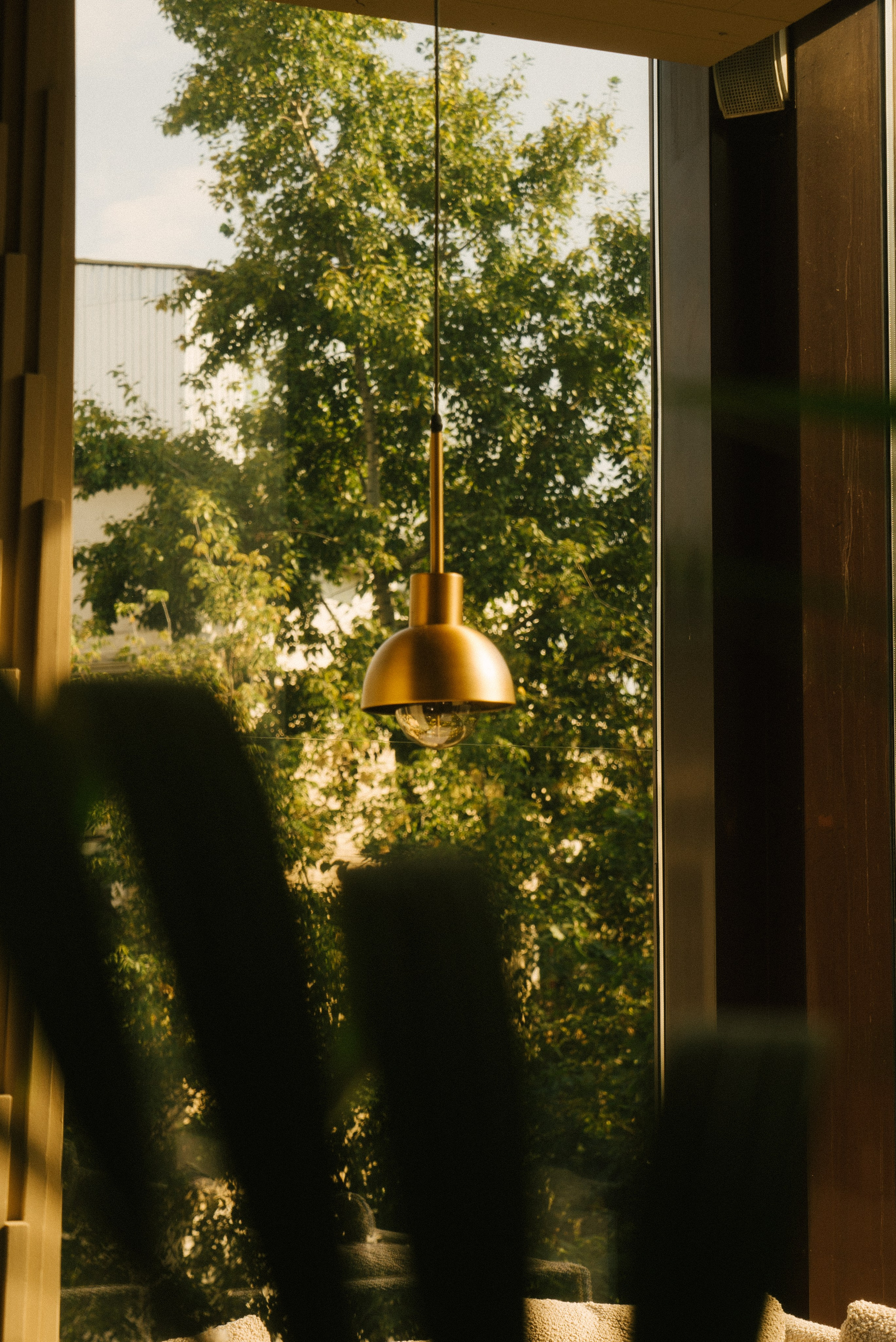 Контент для ресторанов. Фотограф Владимир Тришин