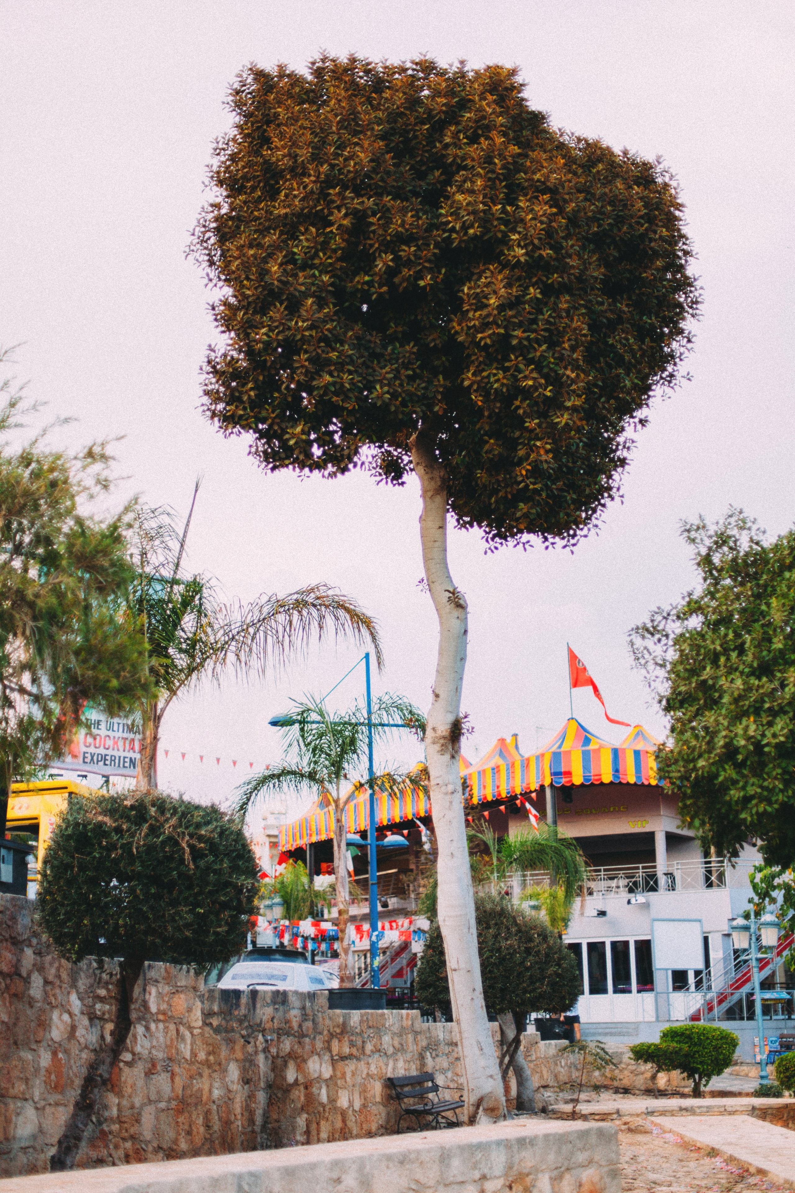 Кипр. Аня Степанова