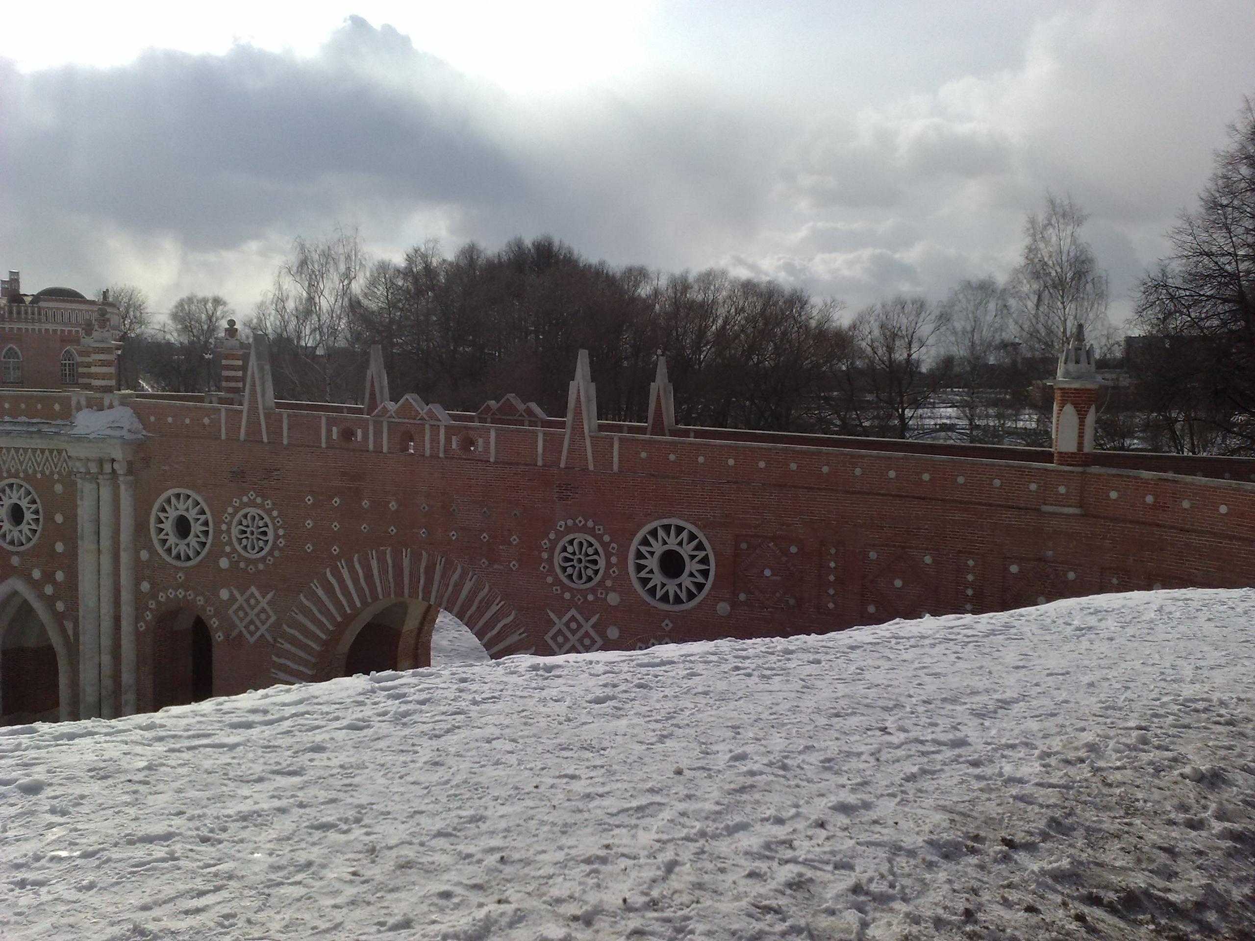 Царицино музей-усадьба. Питомник китайских хохлатых собак Poale Ell: купить щенка в питомнике