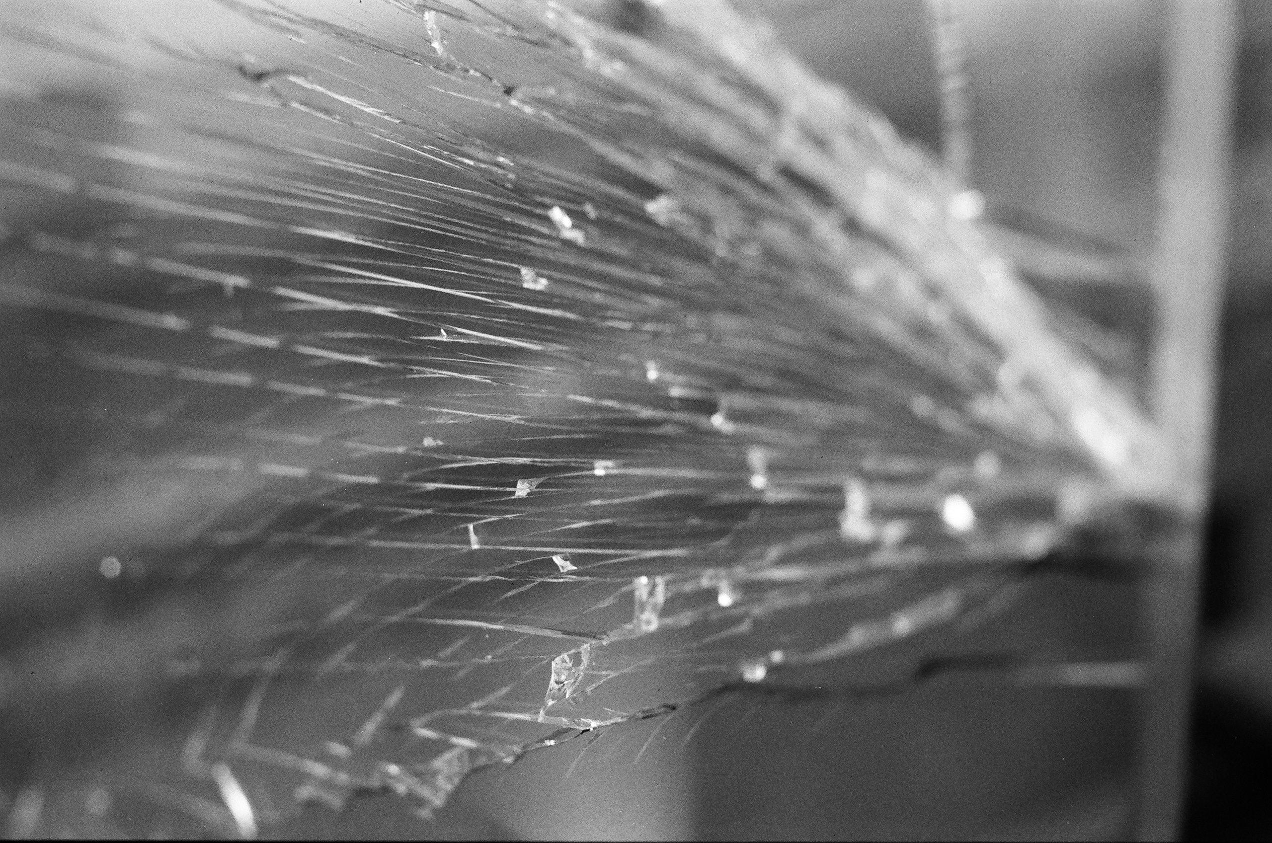 Dispersed Presence. Film and another stuff