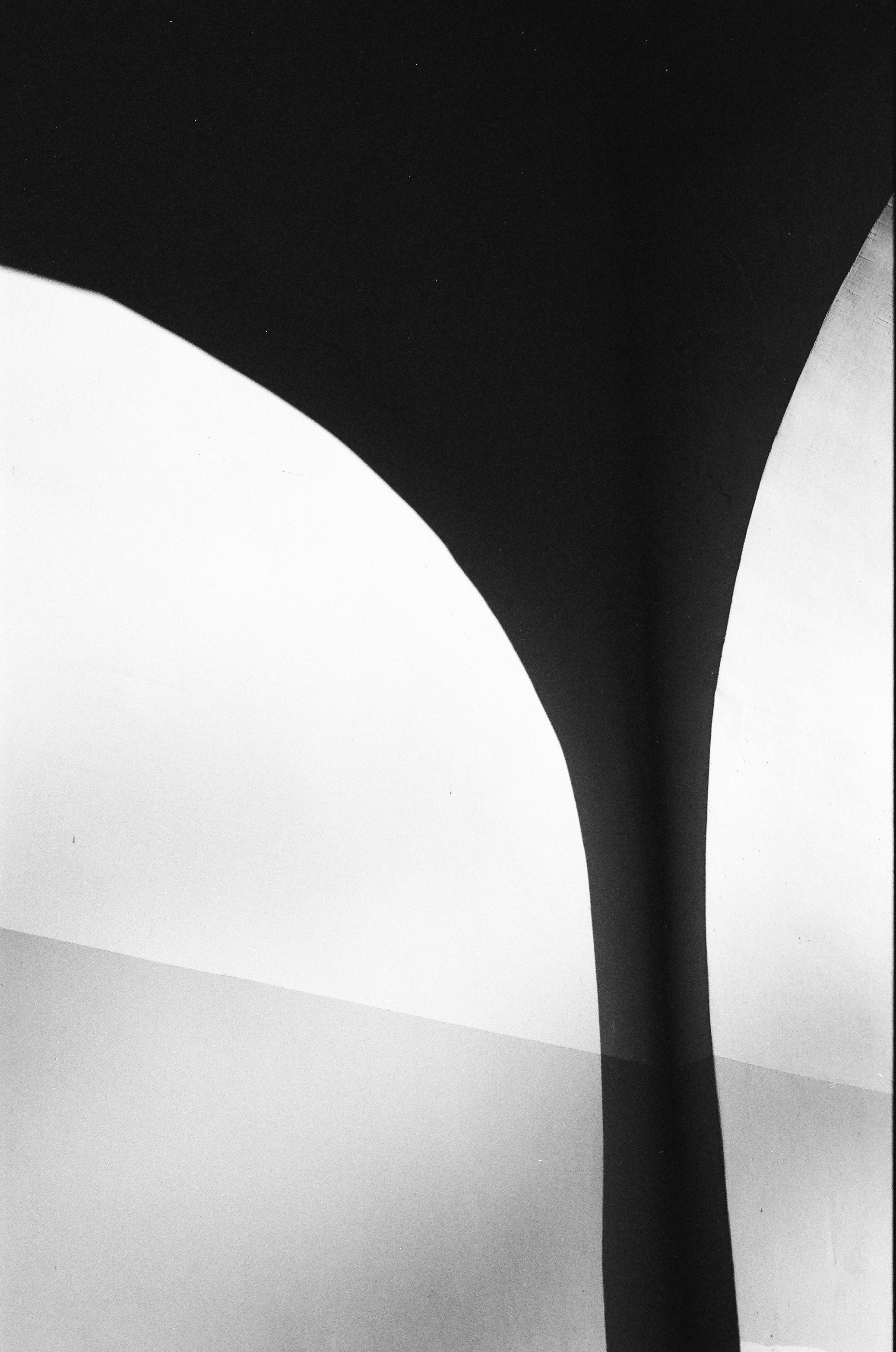 Dispersed Presence. Film and another stuff