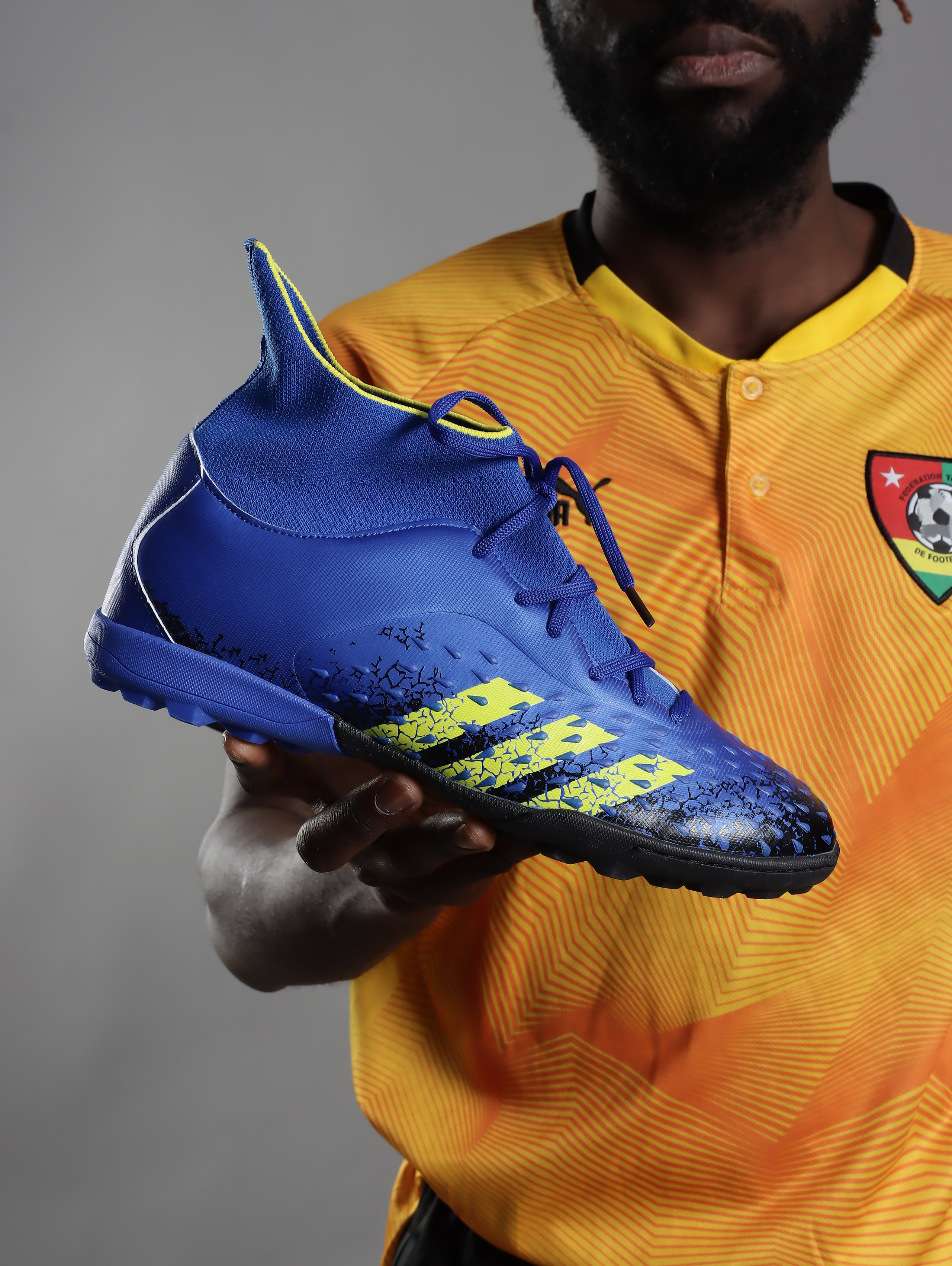 Портфолио. Kingdom DS