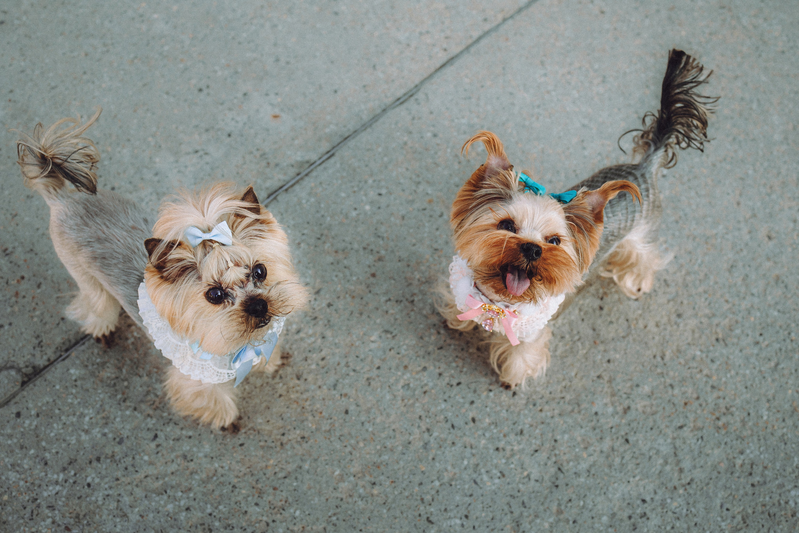 Дженни, Оливия и их семья